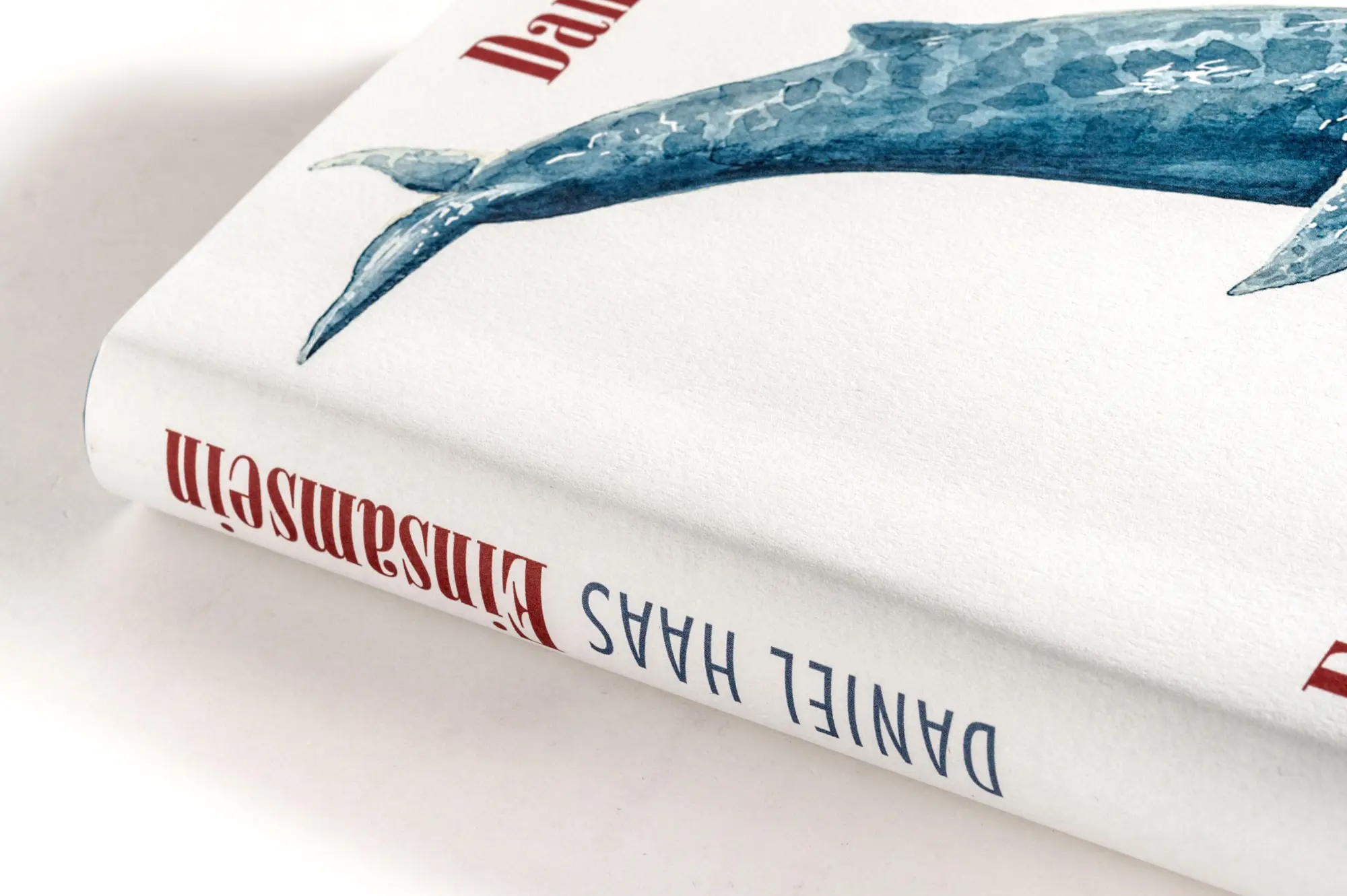 Bild: 9783442302338 | Einsamsein | Daniel Haas | Buch | 224 S. | Deutsch | 2026 | Goldmann