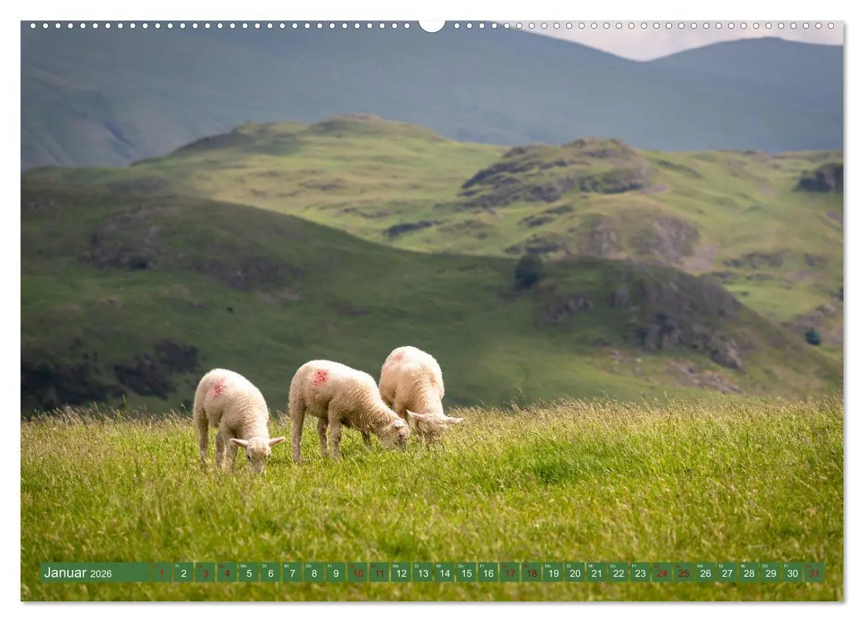 Bild: 9783457322338 | Entdecke England (Wandkalender 2026 DIN A2 quer), CALVENDO...