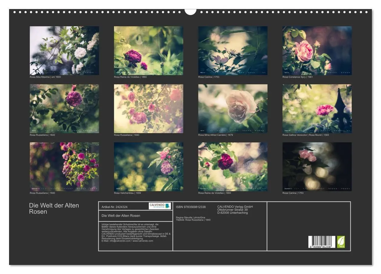 Bild: 9783569812338 | Die Welt der Alten Rosen (Wandkalender 2027 DIN A2 quer), CALVENDO...