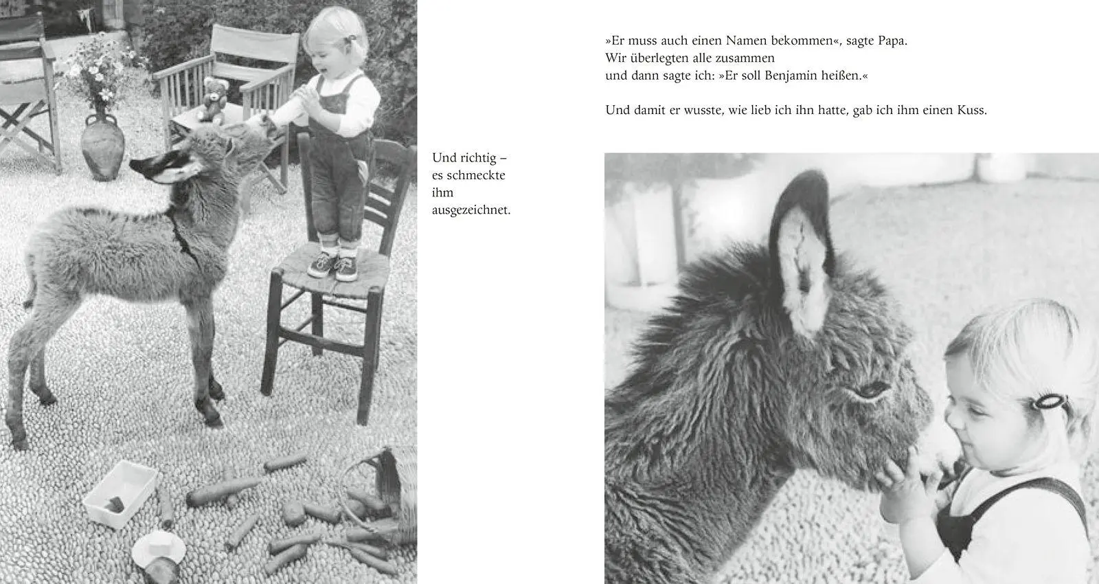 Bild: 9783737352338 | Mein Esel Benjamin (Pappbilderbuch) | Hans Limmer | Buch | 48 S.