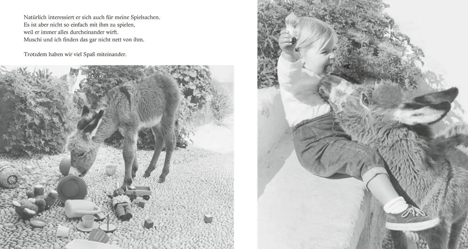 Bild: 9783737352338 | Mein Esel Benjamin (Pappbilderbuch) | Hans Limmer | Buch | 48 S.