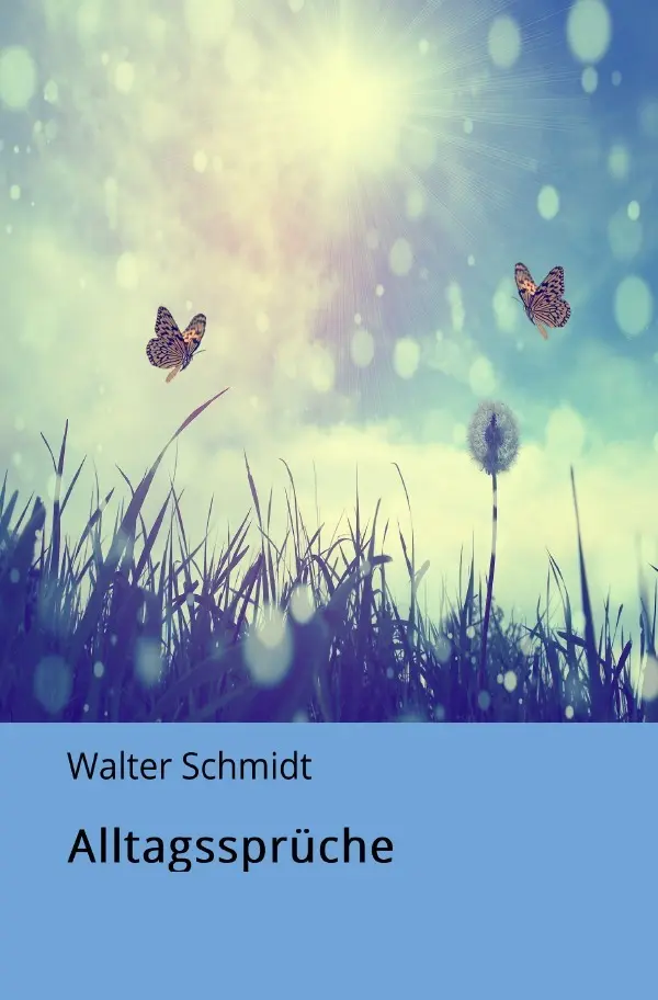 Cover: 9783745032338 | Alltagsspüche | Das kleine Buch, der Großen Weisheiten | Schmidt
