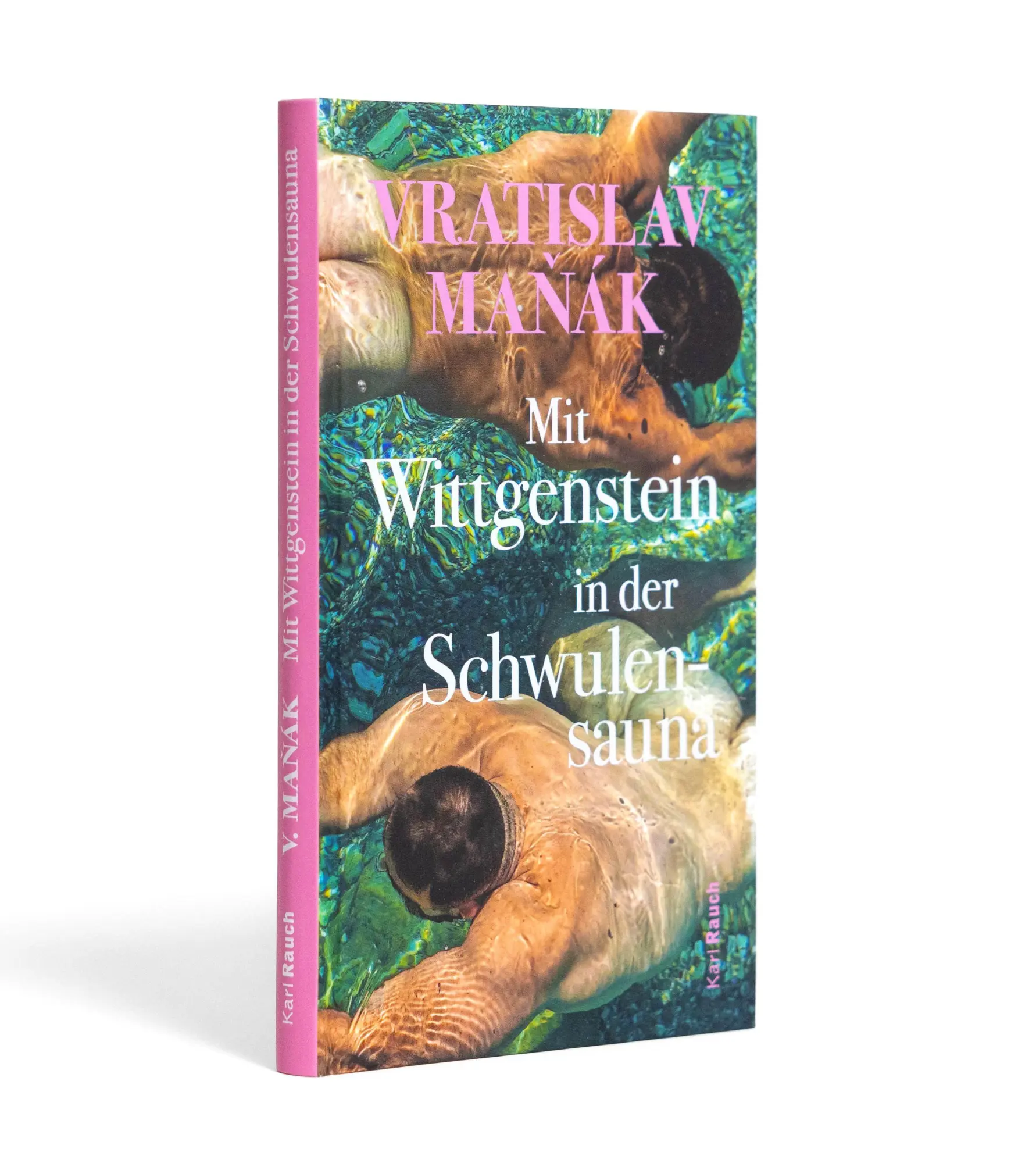 Bild: 9783792002438 | Mit Wittgenstein in der Schwulensauna | Vratislav Ma¿ák | Buch | 2026