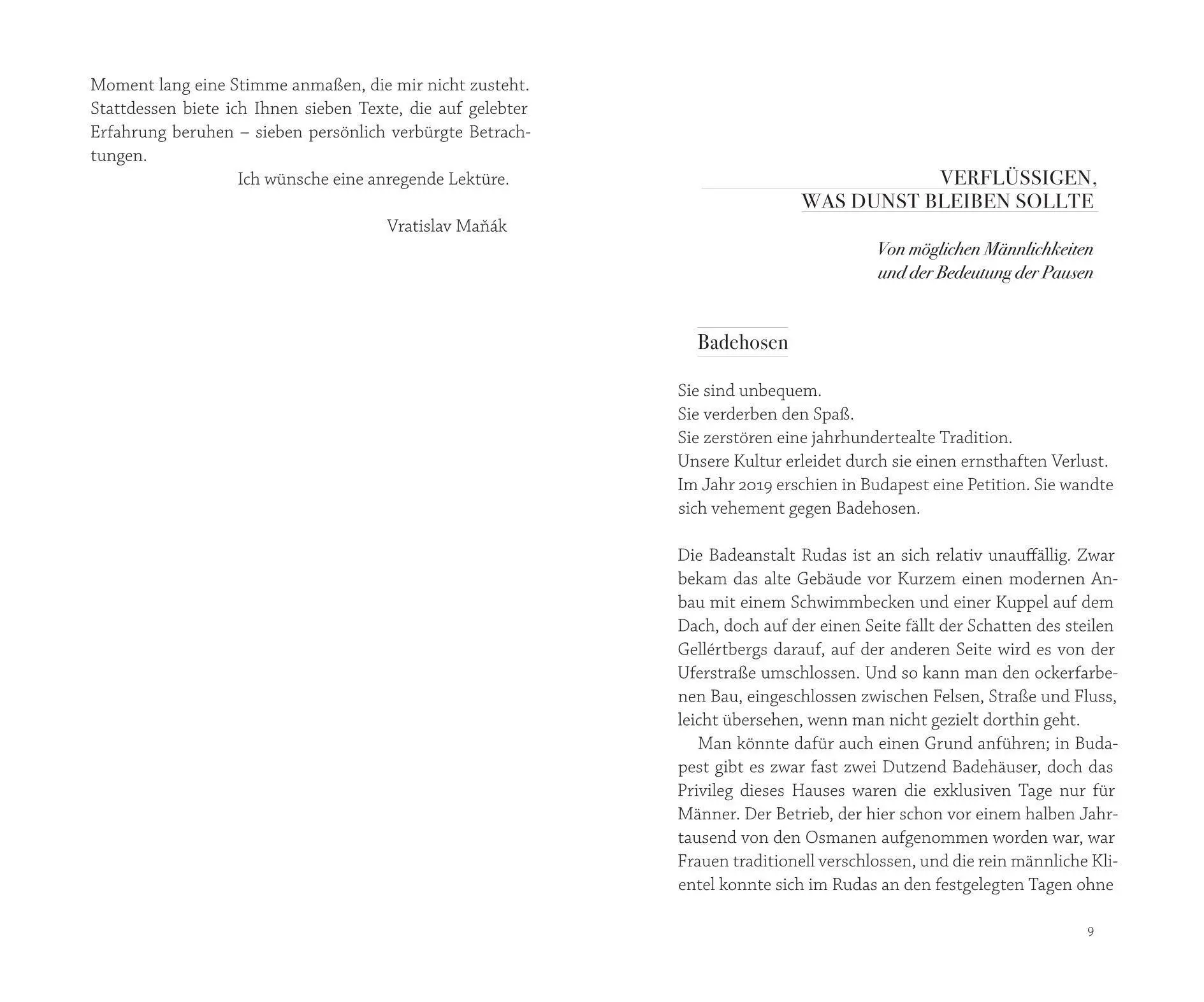 Bild: 9783792002438 | Mit Wittgenstein in der Schwulensauna | Vratislav Ma¿ák | Buch | 2026