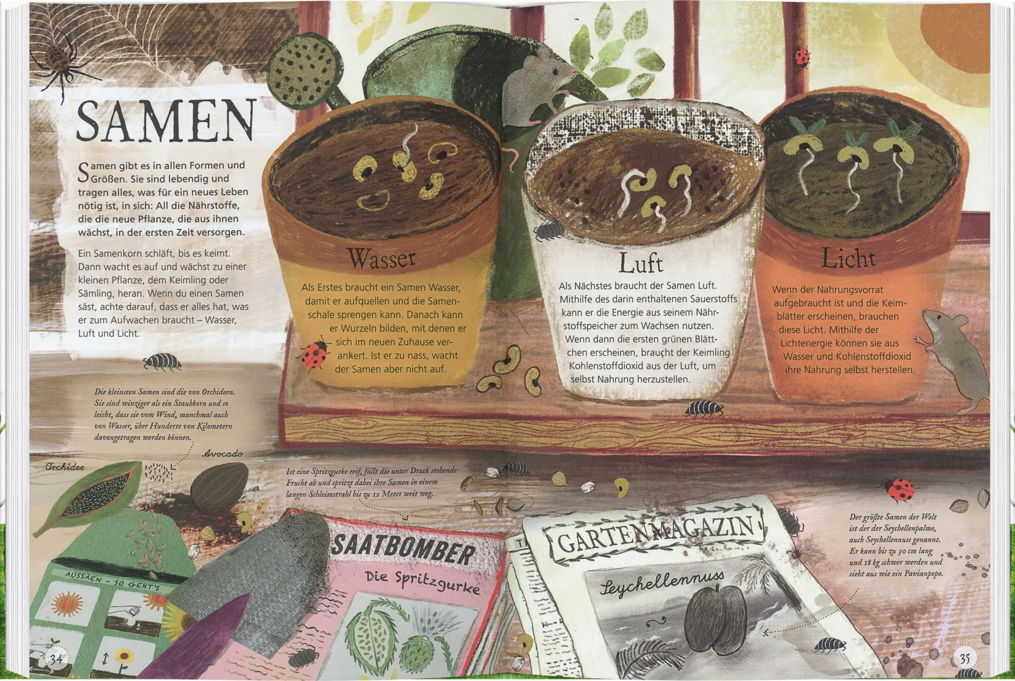 Bild: 9783836962438 | Meine kleine Pflanzenwerkstatt | Alys Fowler | Buch | 96 S. | Deutsch