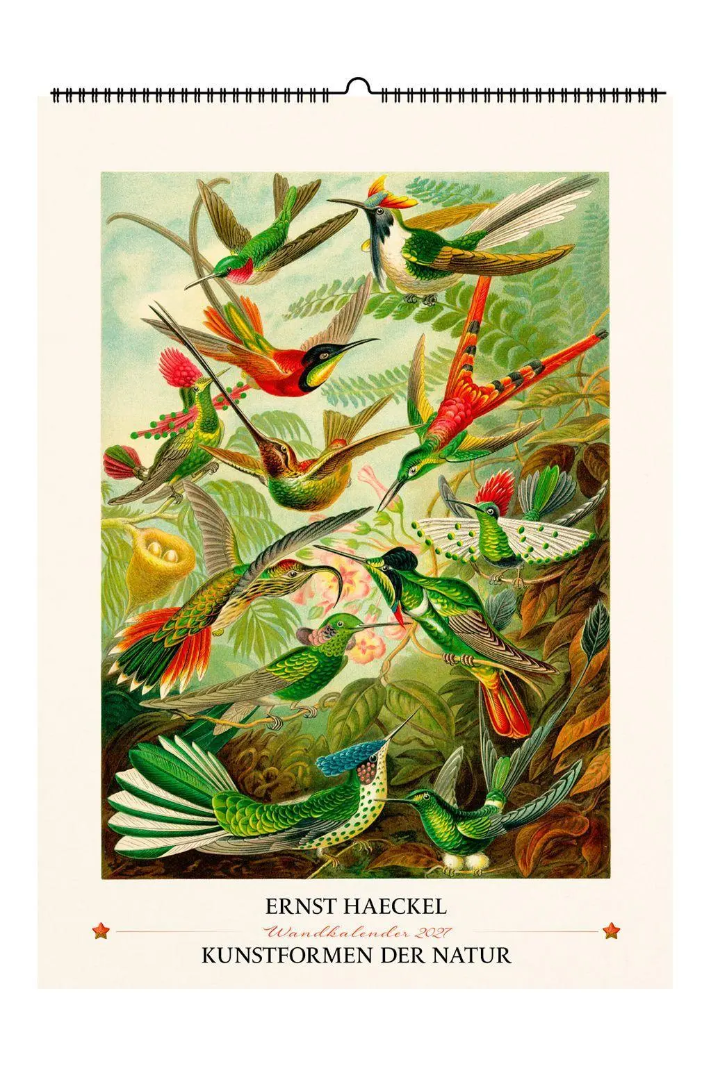 Cover: 9783968492438 | Ernst Haeckel. Kunstformen der Natur. Wandkalender 2027 | Haeckel