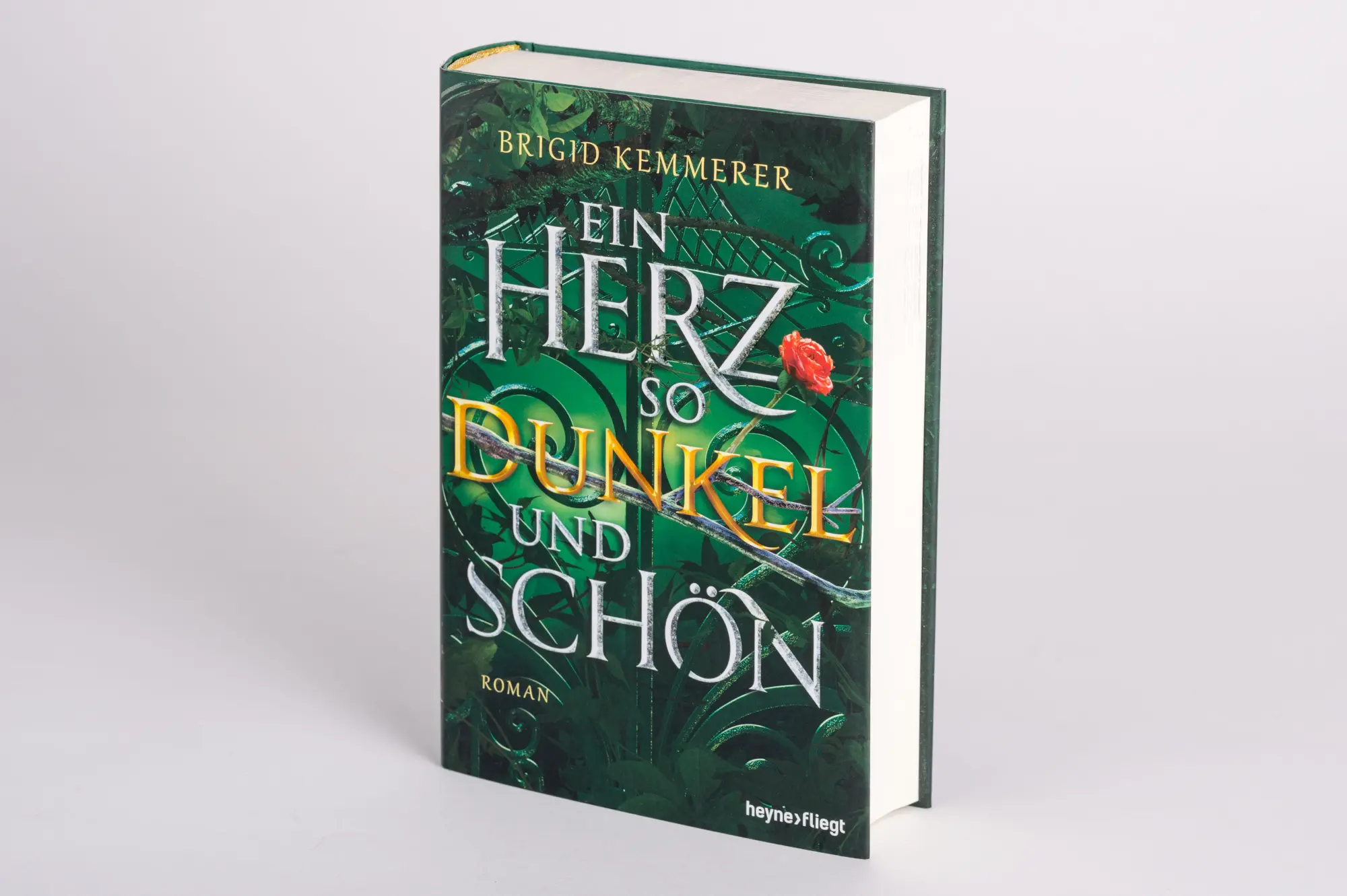 Bild: 9783453272538 | Ein Herz so dunkel und schön | Roman | Brigid Kemmerer | Buch | 544 S.