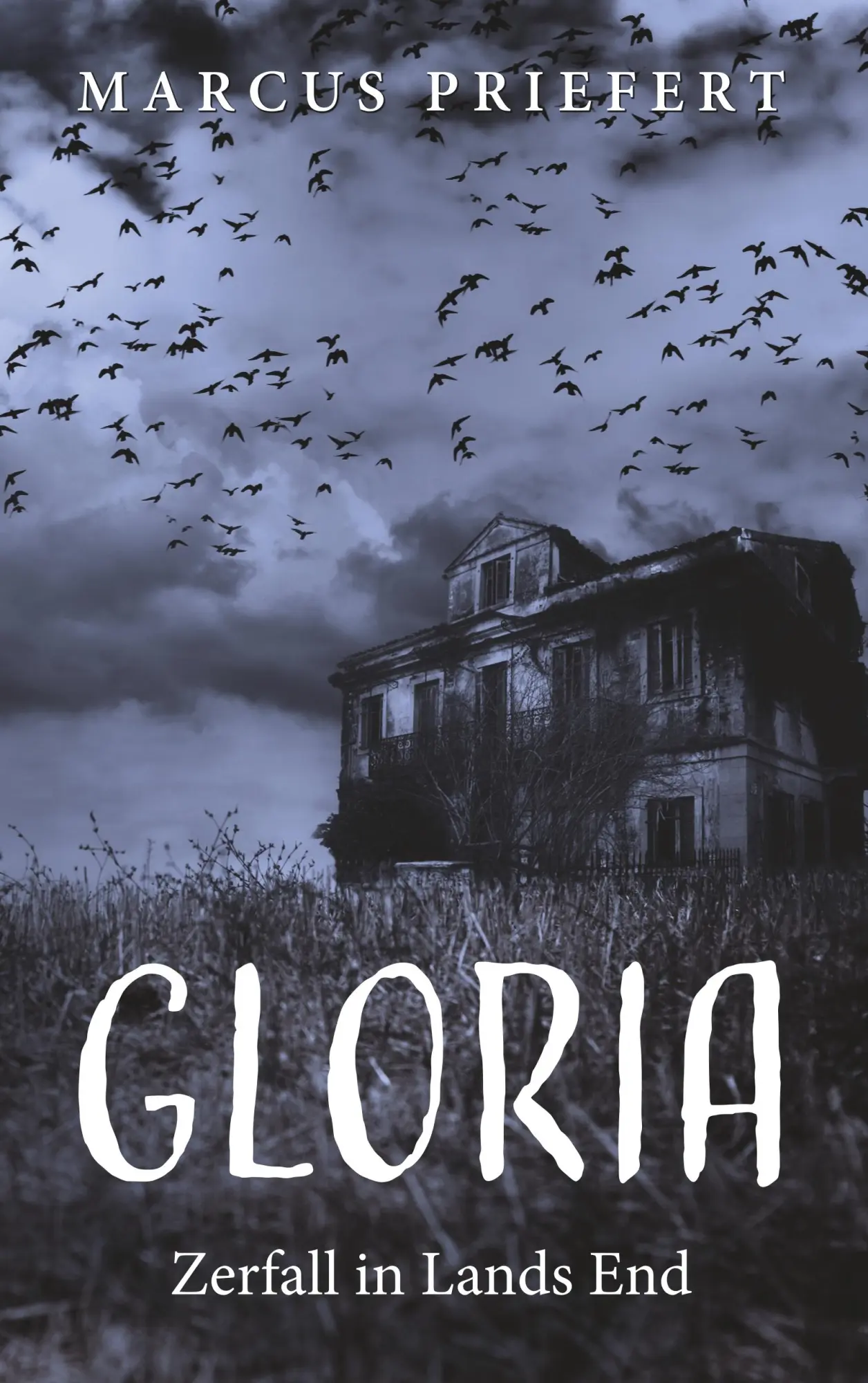 Cover: 9783743102538 | Gloria | Zerfall in Lands End | Marcus Priefert | Taschenbuch | 296 S.
