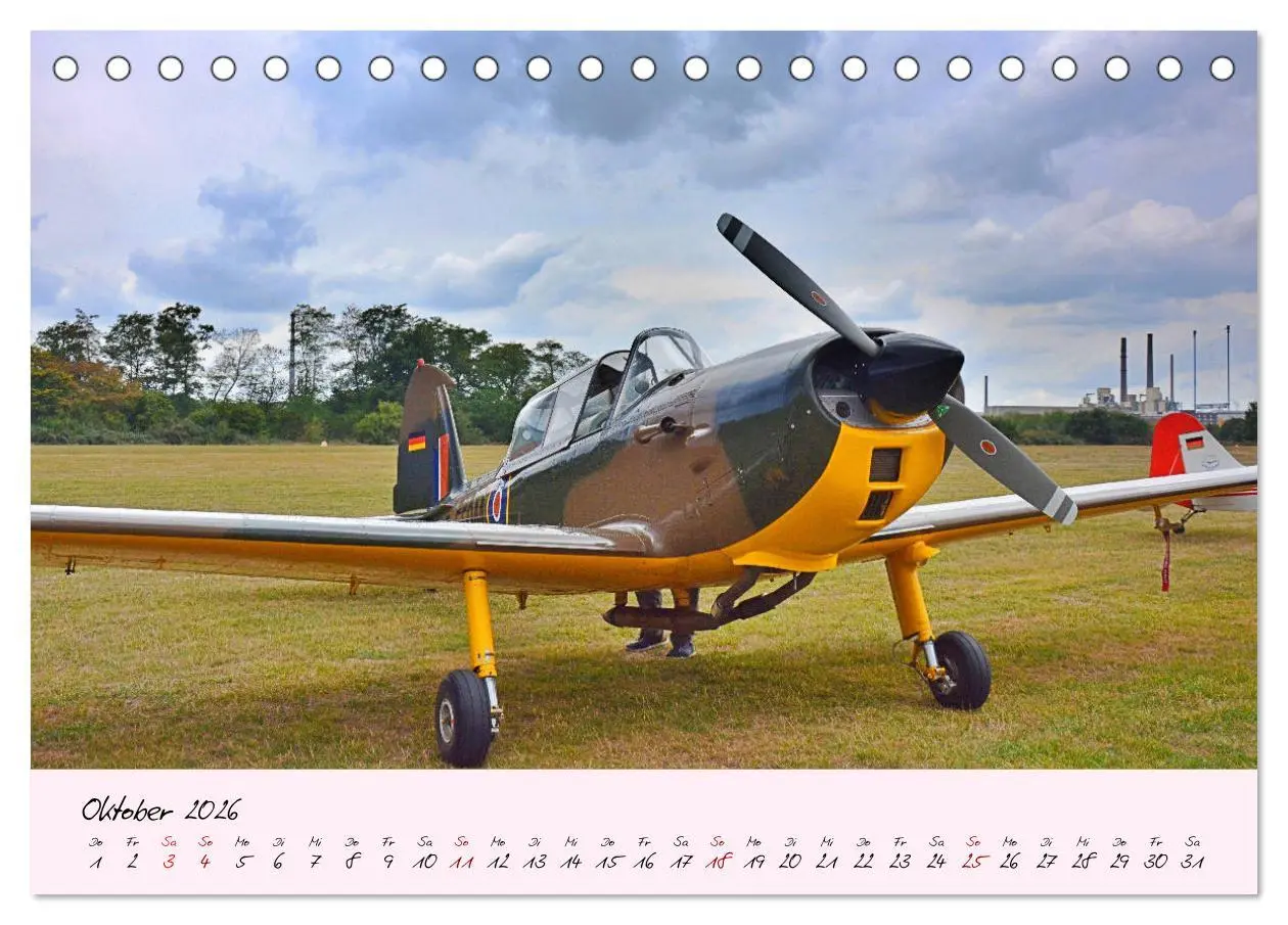 Bild: 9783457772638 | Schätzchen der Lüfte (Tischkalender 2026 DIN A5 quer), CALVENDO...