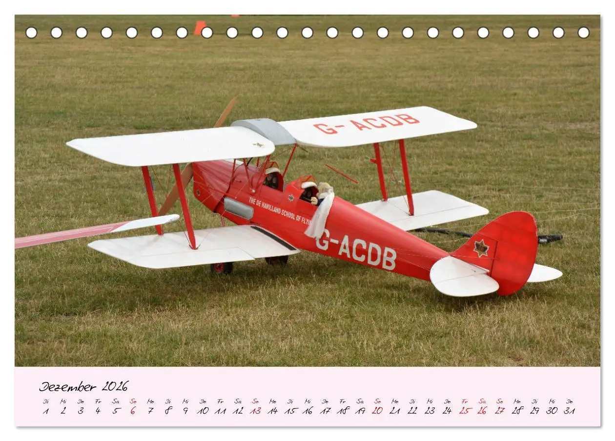Bild: 9783457772638 | Schätzchen der Lüfte (Tischkalender 2026 DIN A5 quer), CALVENDO...