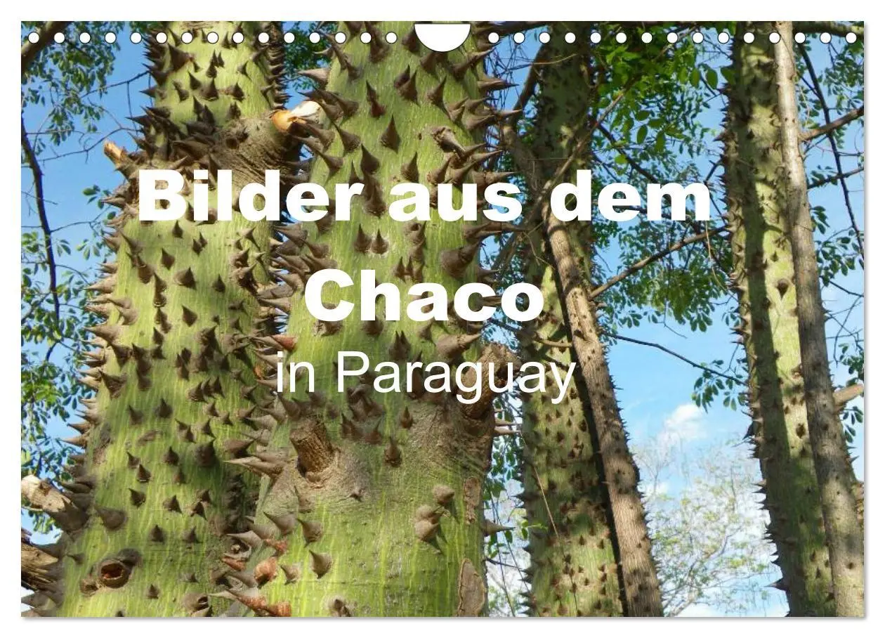 Cover: 9783516172638 | Bilder aus dem Chaco in Paraguay (Wandkalender 2026 DIN A4 quer),...