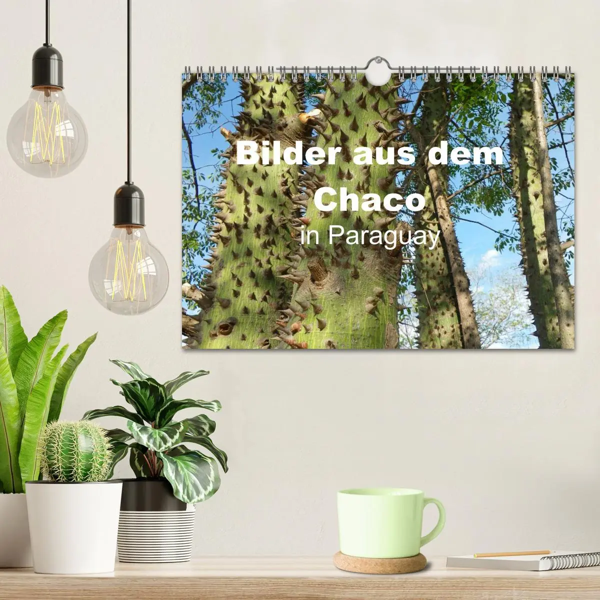 Bild: 9783516172638 | Bilder aus dem Chaco in Paraguay (Wandkalender 2026 DIN A4 quer),...