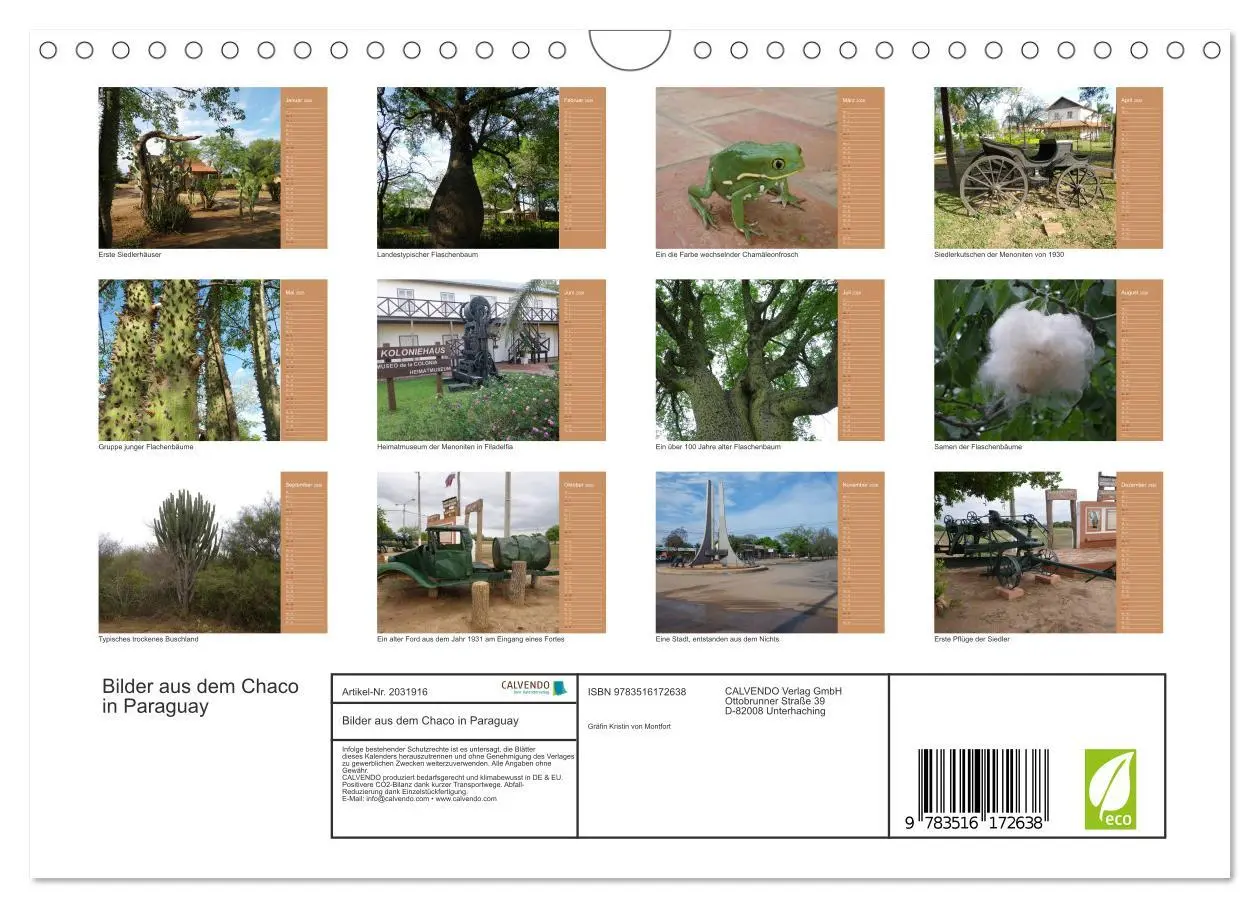 Bild: 9783516172638 | Bilder aus dem Chaco in Paraguay (Wandkalender 2026 DIN A4 quer),...