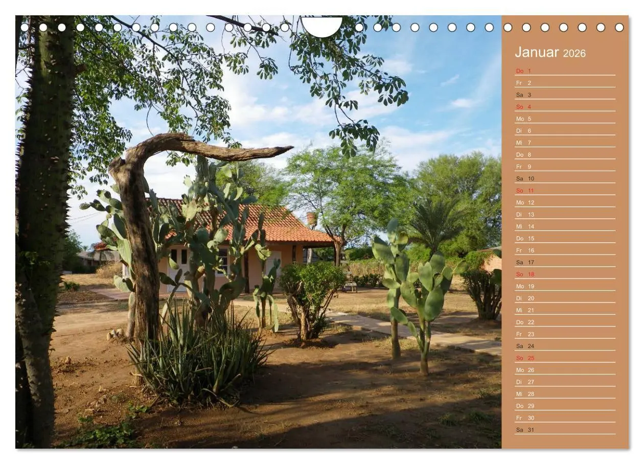 Bild: 9783516172638 | Bilder aus dem Chaco in Paraguay (Wandkalender 2026 DIN A4 quer),...