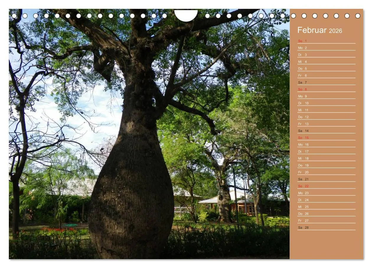 Bild: 9783516172638 | Bilder aus dem Chaco in Paraguay (Wandkalender 2026 DIN A4 quer),...