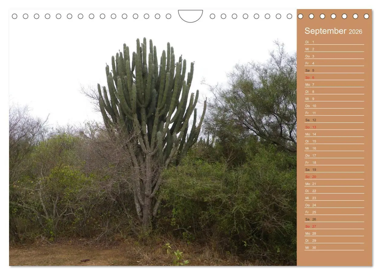 Bild: 9783516172638 | Bilder aus dem Chaco in Paraguay (Wandkalender 2026 DIN A4 quer),...