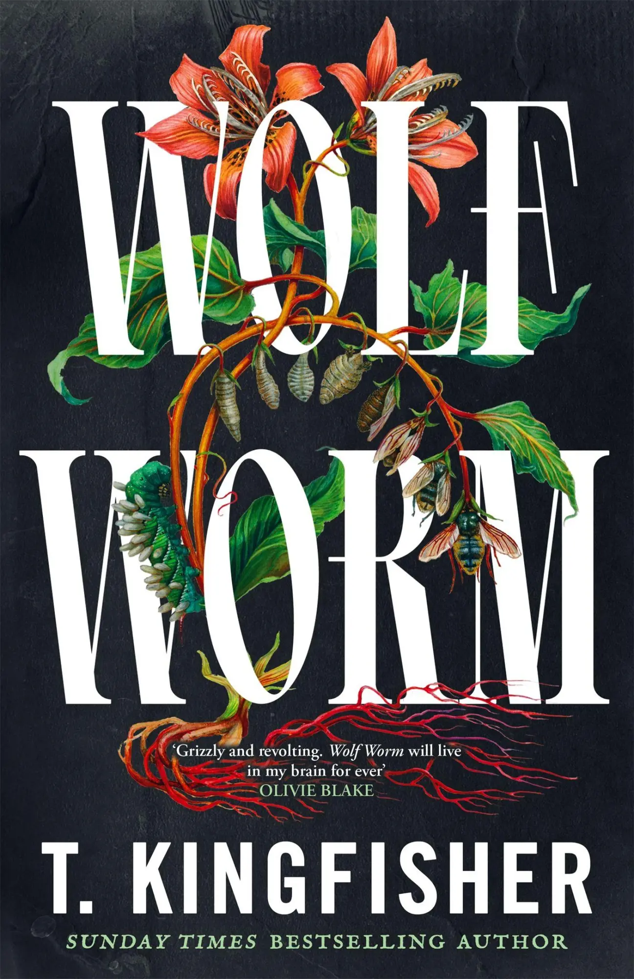 Cover: 9781035052738 | Wolf Worm | T. Kingfisher | Taschenbuch | Paperback | Englisch | 2026