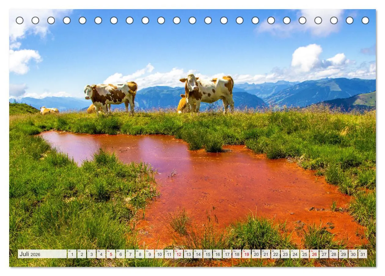 Bild: 9783457452738 | Maria Alm - Hinterthal - Hintermoos (Tischkalender 2026 DIN A5...