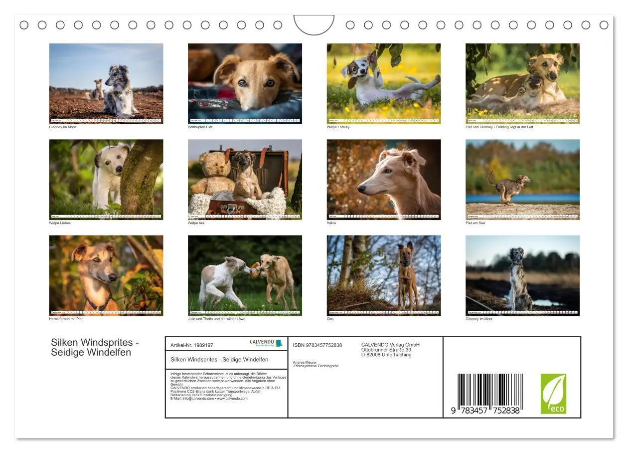 Bild: 9783457752838 | Silken Windsprites - Seidige Windelfen (Wandkalender 2026 DIN A4...