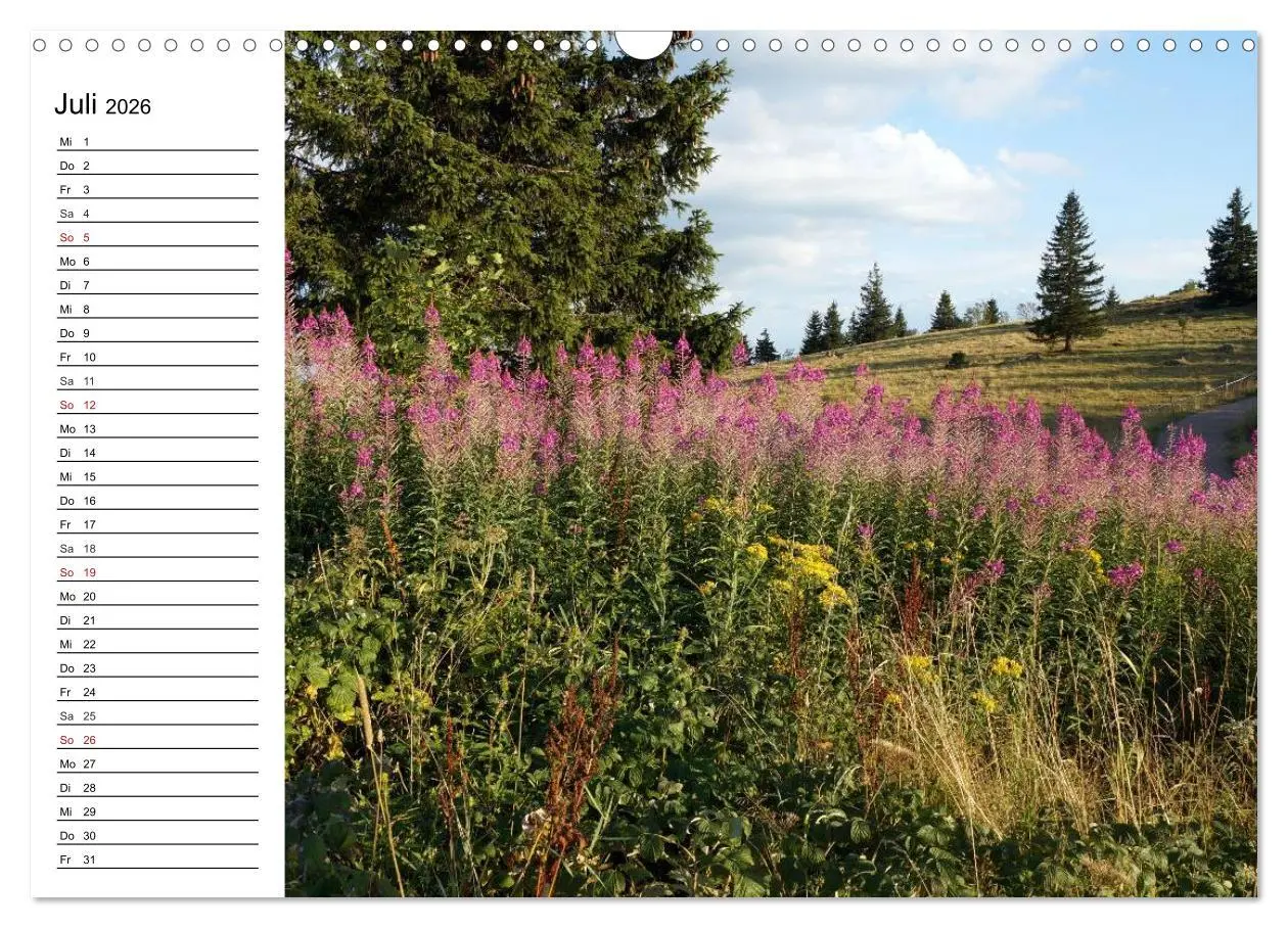 Bild: 9783457992838 | Südschwarzwald - Impressionen (Wandkalender 2026 DIN A3 quer),...