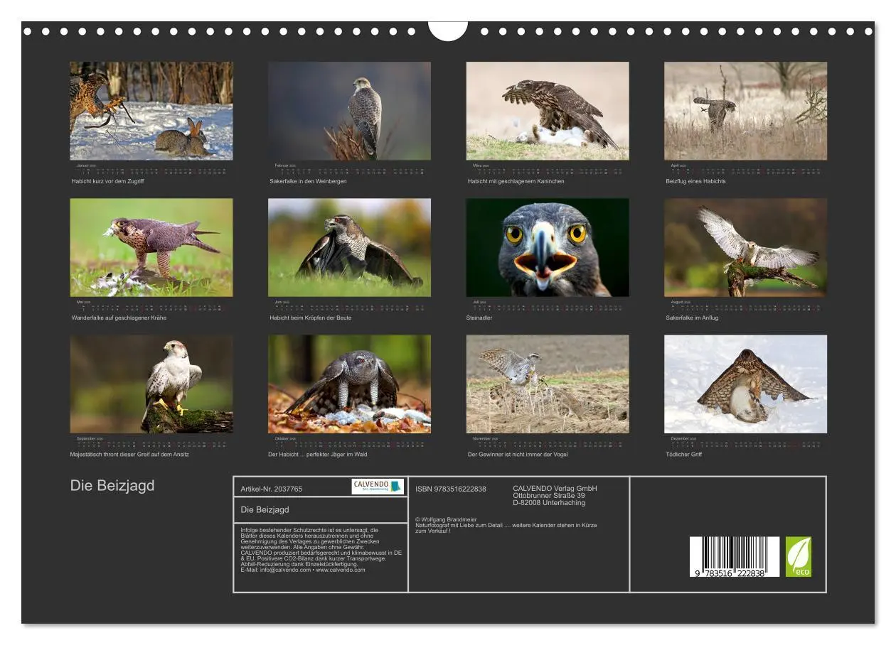 Bild: 9783516222838 | Die Beizjagd (Wandkalender 2026 DIN A3 quer), CALVENDO Monatskalender