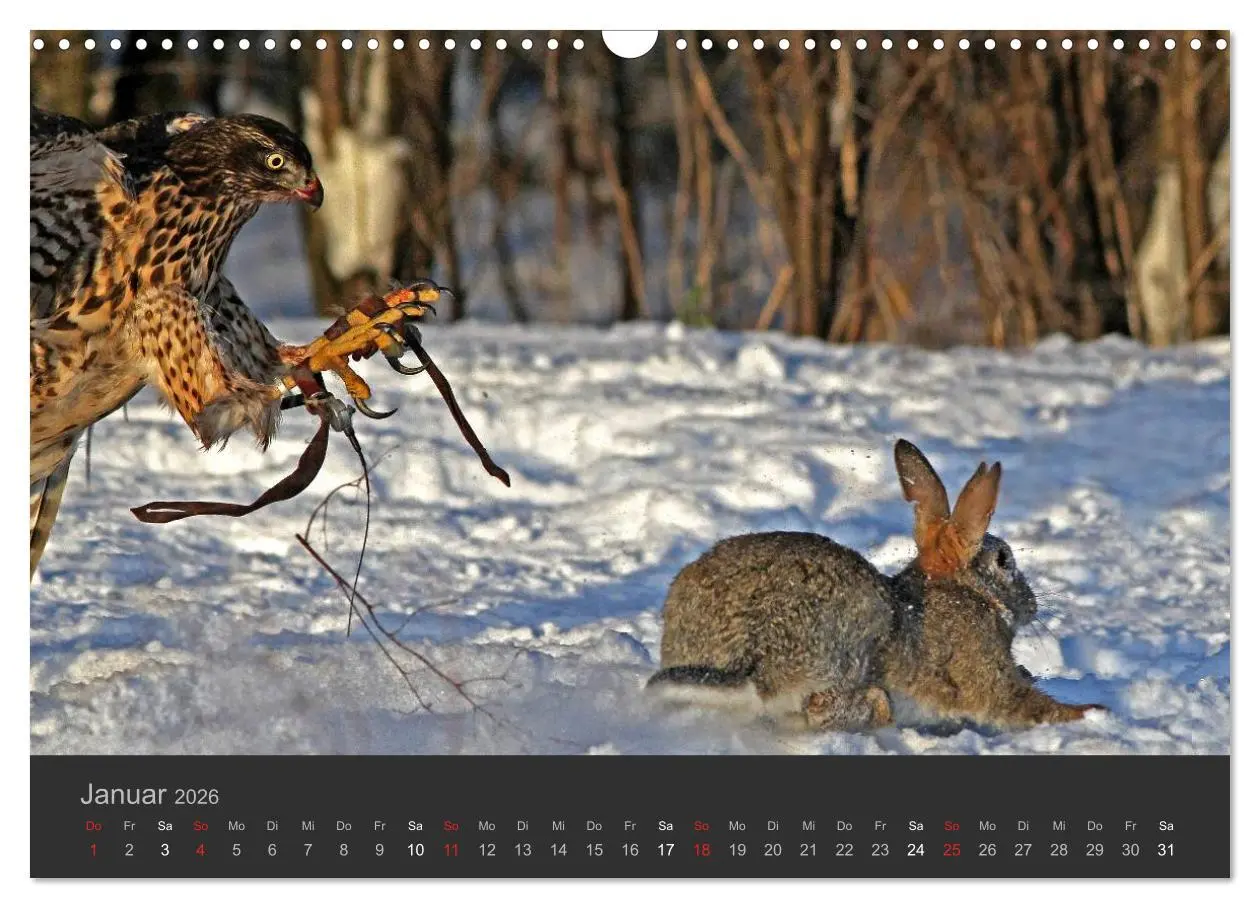 Bild: 9783516222838 | Die Beizjagd (Wandkalender 2026 DIN A3 quer), CALVENDO Monatskalender