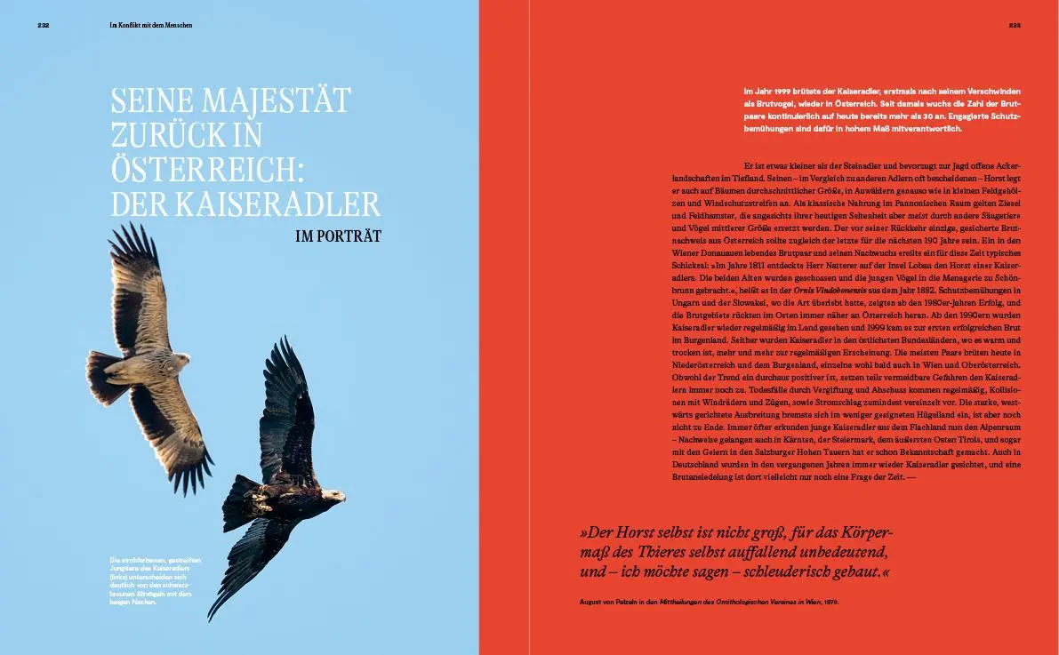 Bild: 9783710402838 | Unsere Vogelwelt | Heimische Arten und ihre Geheimnisse entdecken