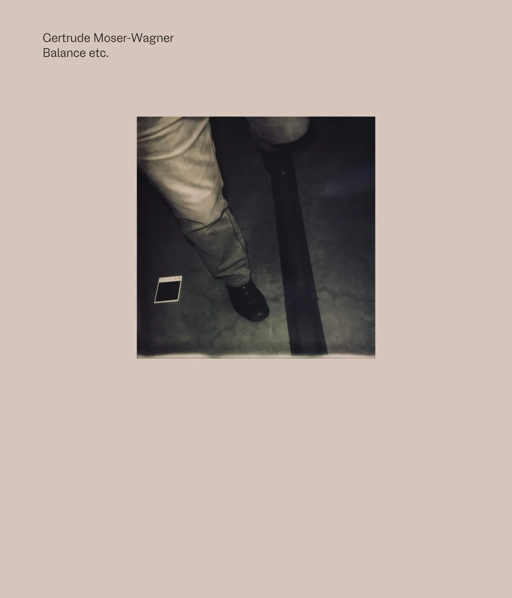 Cover: 9783903172838 | Balance etc. | Gertrude Moser-Wagner | Taschenbuch | Deutsch | 2021