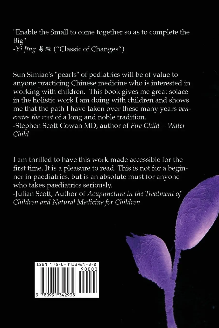 Rückseite: 9780991342938 | Venerating the Root | Part Two | Sabine Wilms | Taschenbuch | Englisch