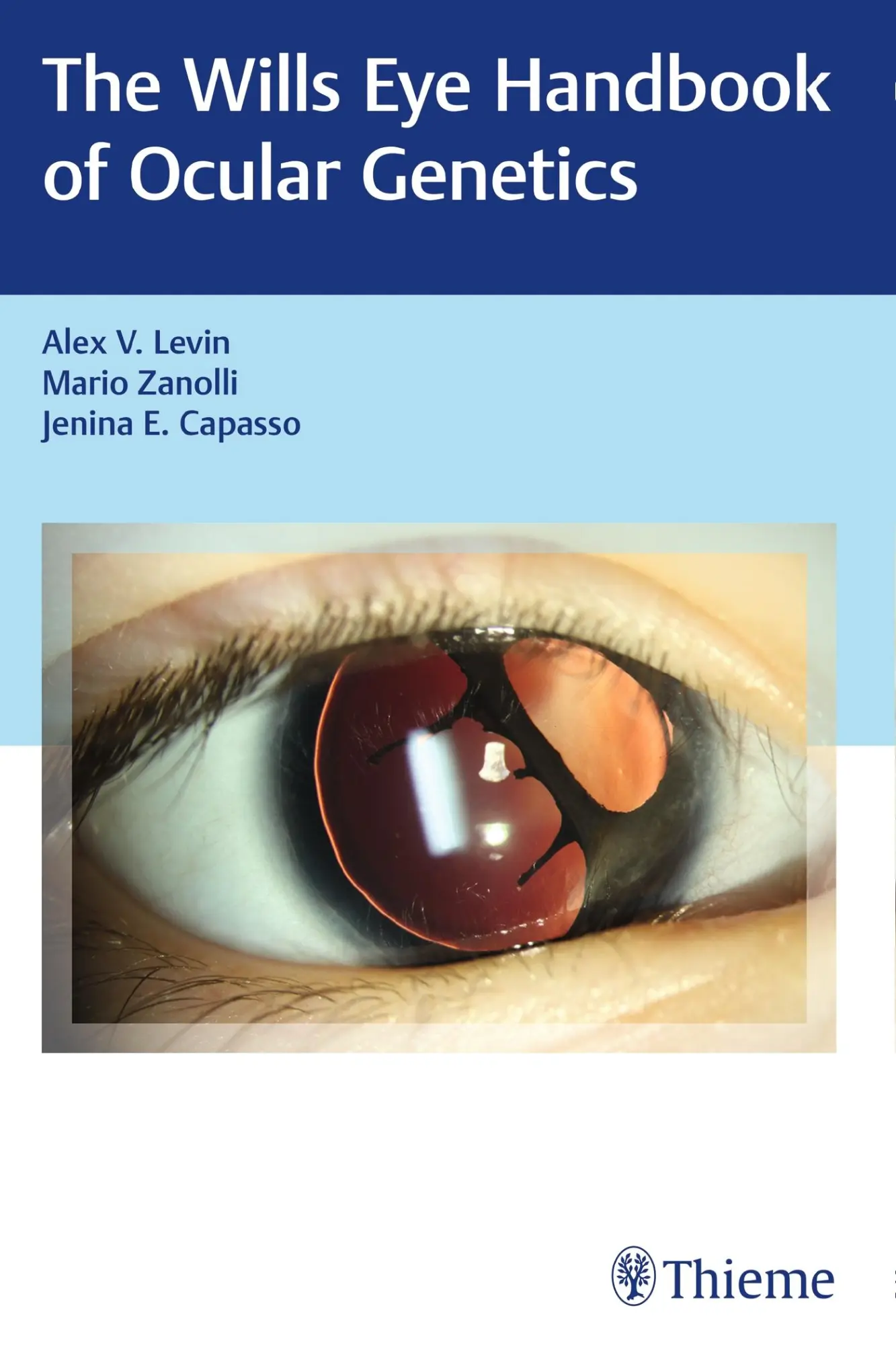 Cover: 9781626232938 | Wills Eye Handbook of Ocular Genetics | Alex V Levin (u. a.) | Buch
