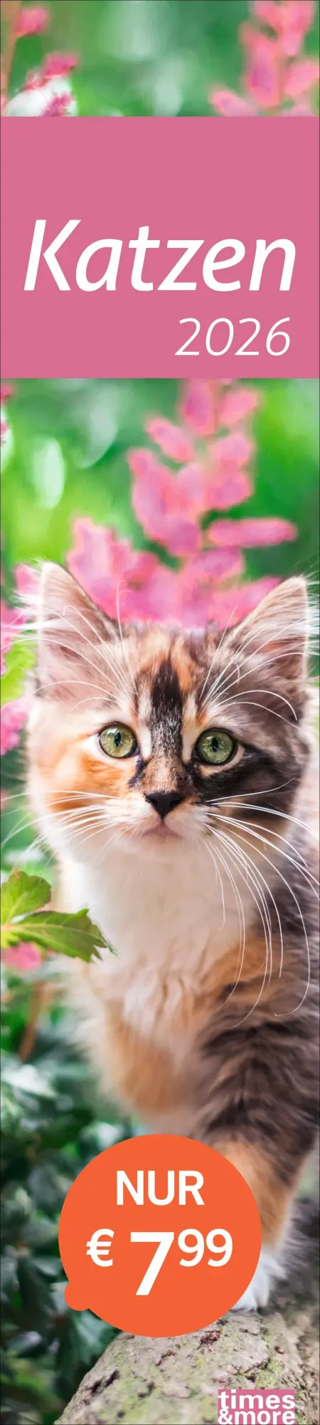 Cover: 9783756412938 | times&amp;more Katzen Langplaner 2026 | Heye | Kalender | Spiralbindung