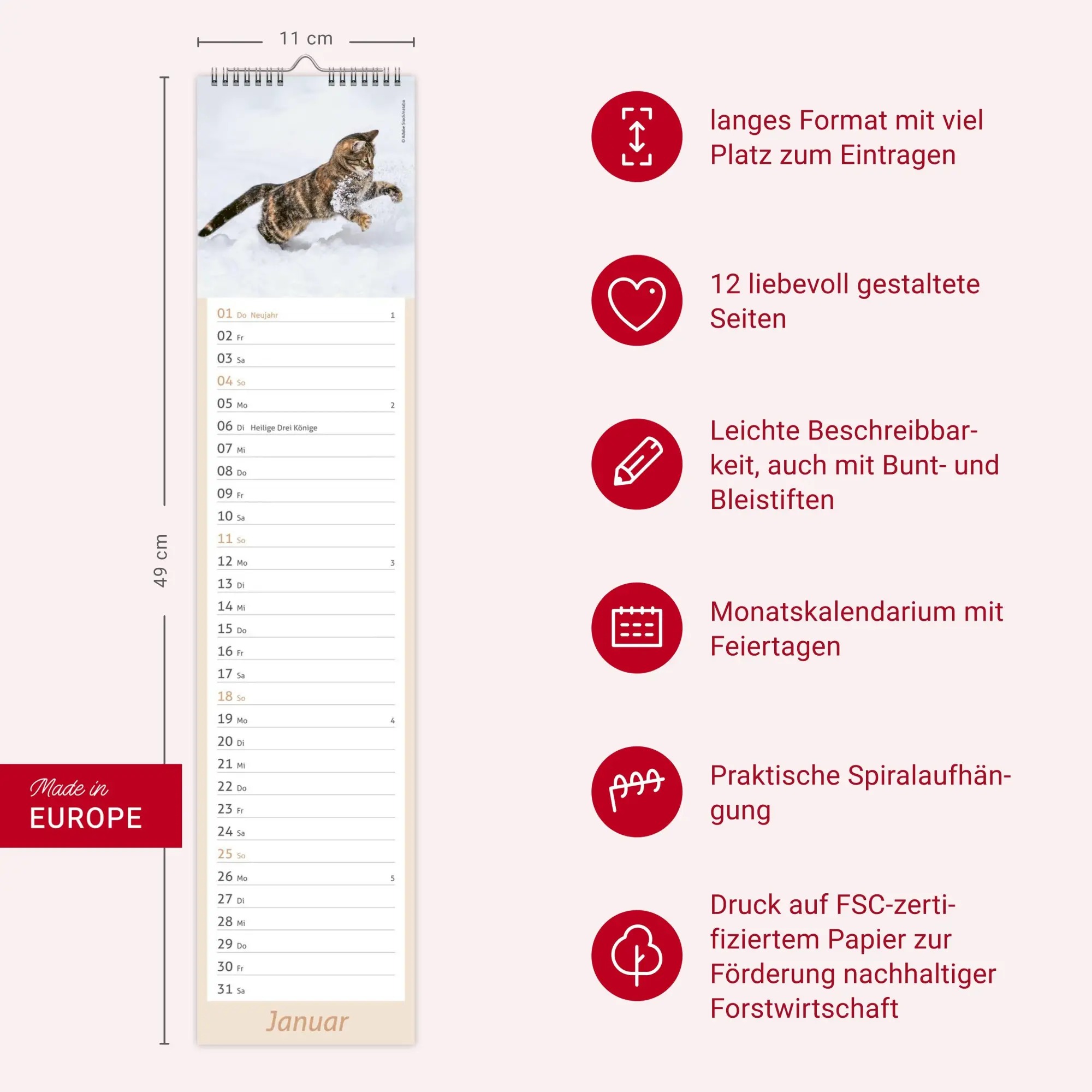 Bild: 9783756412938 | times&amp;more Katzen Langplaner 2026 | Heye | Kalender | Spiralbindung