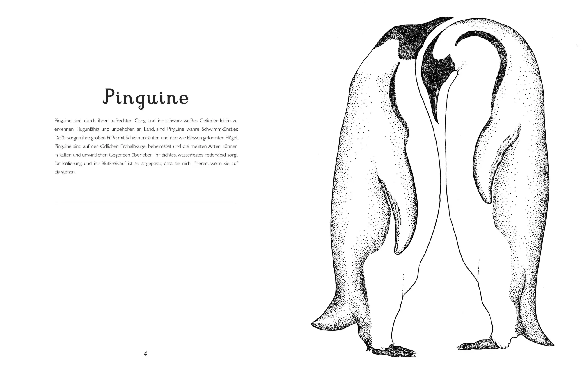 Bild: 9783791372938 | Das Museum der Tiere. Mein Malbuch | Eintritt frei! | Katie Scott