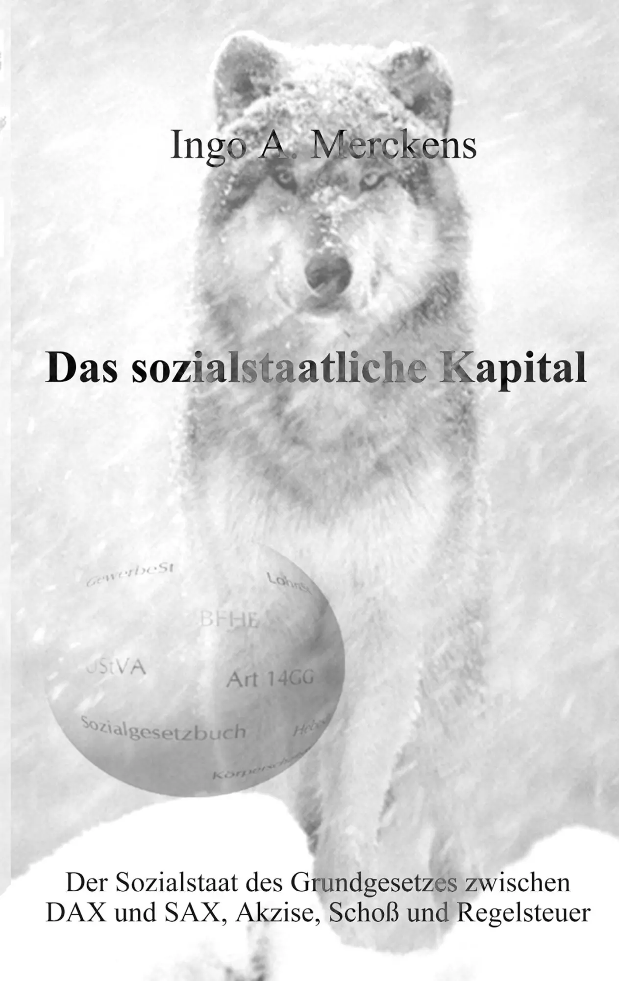 Das sozialstaatliche Kapital