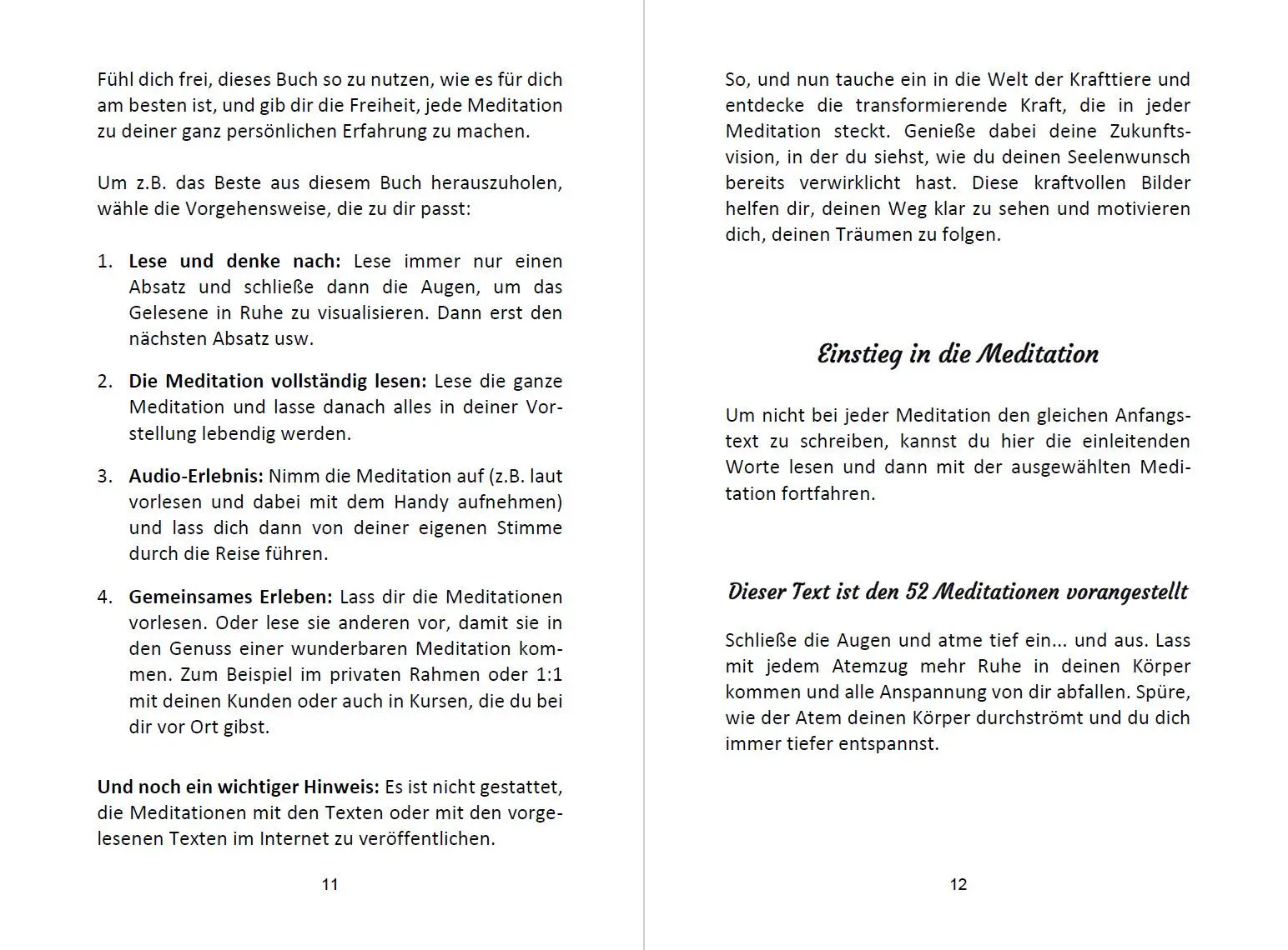 Bild: 9783967382938 | 52 Seelenweg und Krafttier Meditationen | Angelina Schulze | Buch