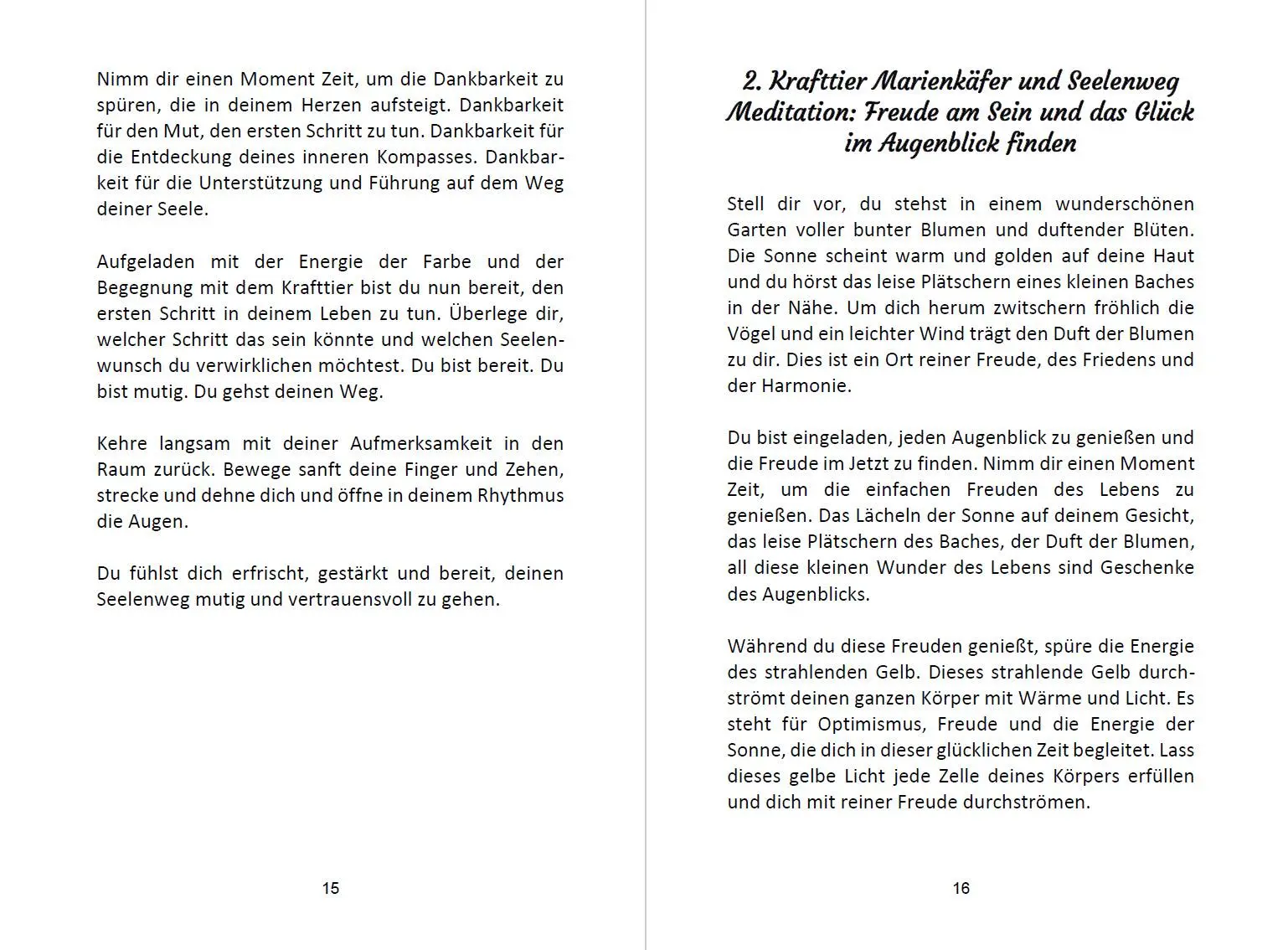 Bild: 9783967382938 | 52 Seelenweg und Krafttier Meditationen | Angelina Schulze | Buch