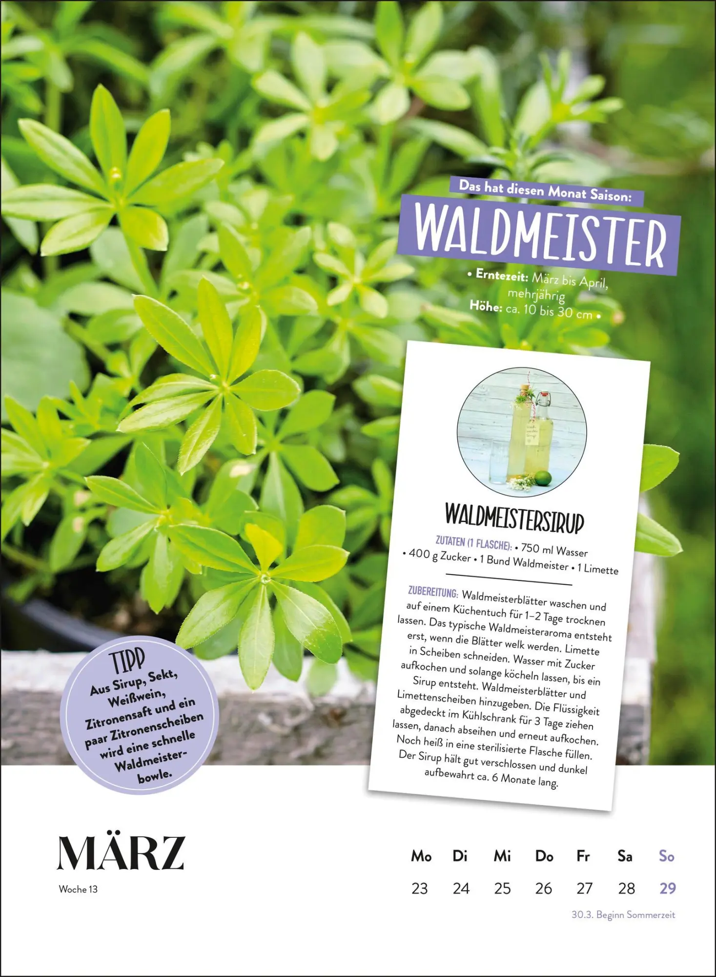 Bild: 4036442013038 | Wochenkalender 2026: Blütenpracht und Kräuterduft | Groh Verlag | 2026
