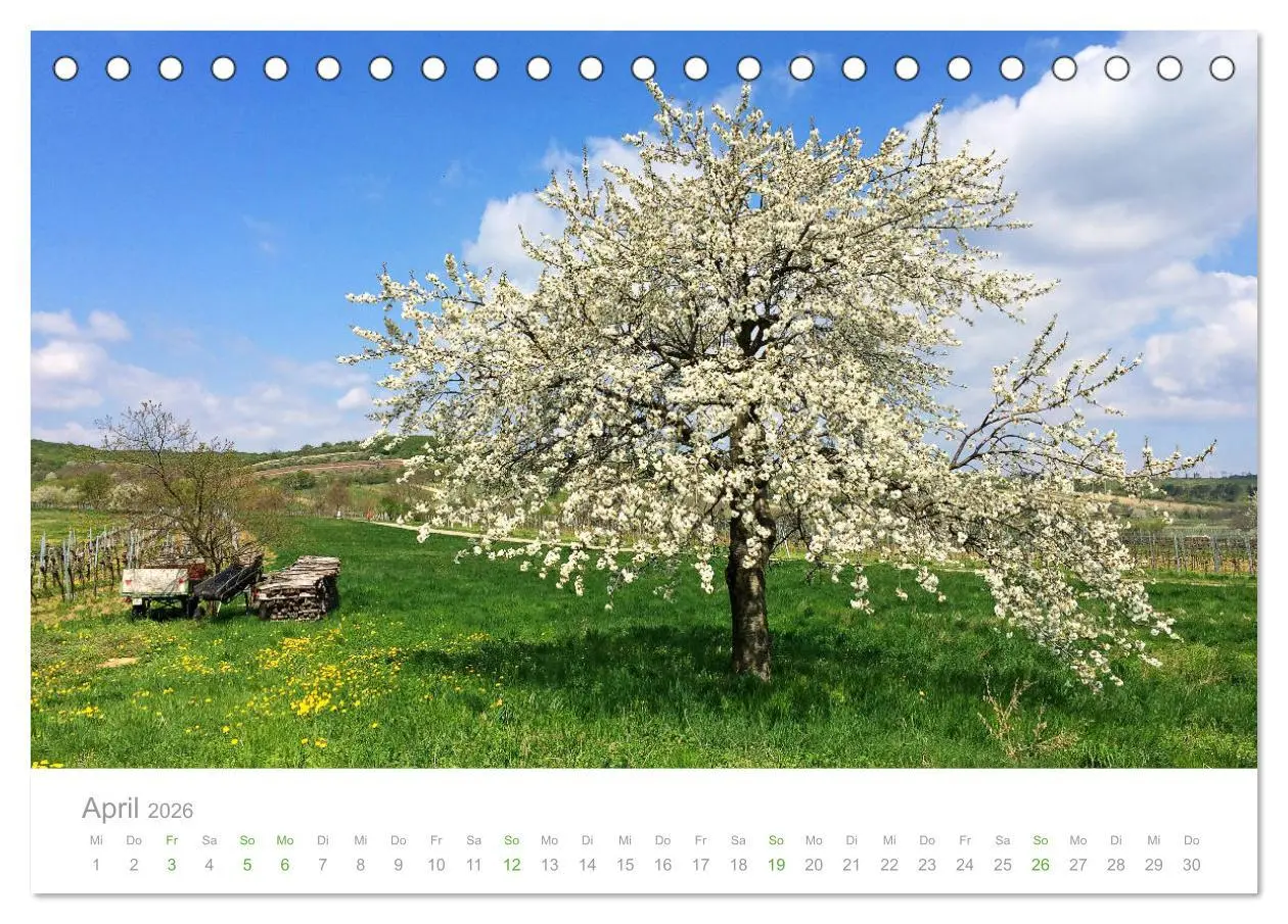 Bild: 9783457873038 | Österreich Rundreise (Tischkalender 2026 DIN A5 quer), CALVENDO...