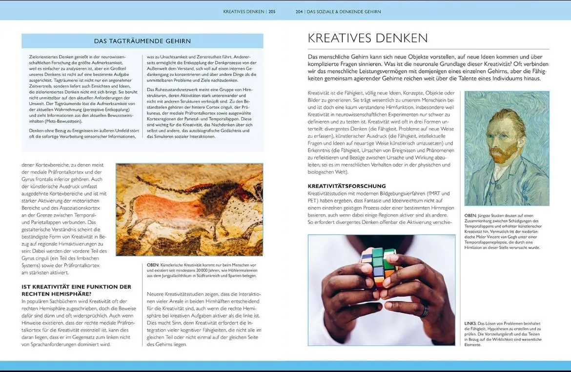 Bild: 9789463593038 | Das Gehirn | Das Gehirn und die psychische Gesundheit | Ken Ashwell