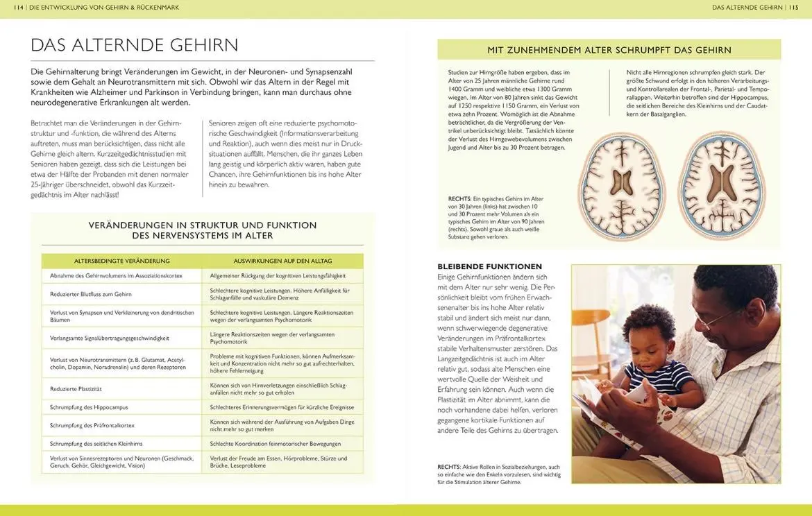 Bild: 9789463593038 | Das Gehirn | Das Gehirn und die psychische Gesundheit | Ken Ashwell