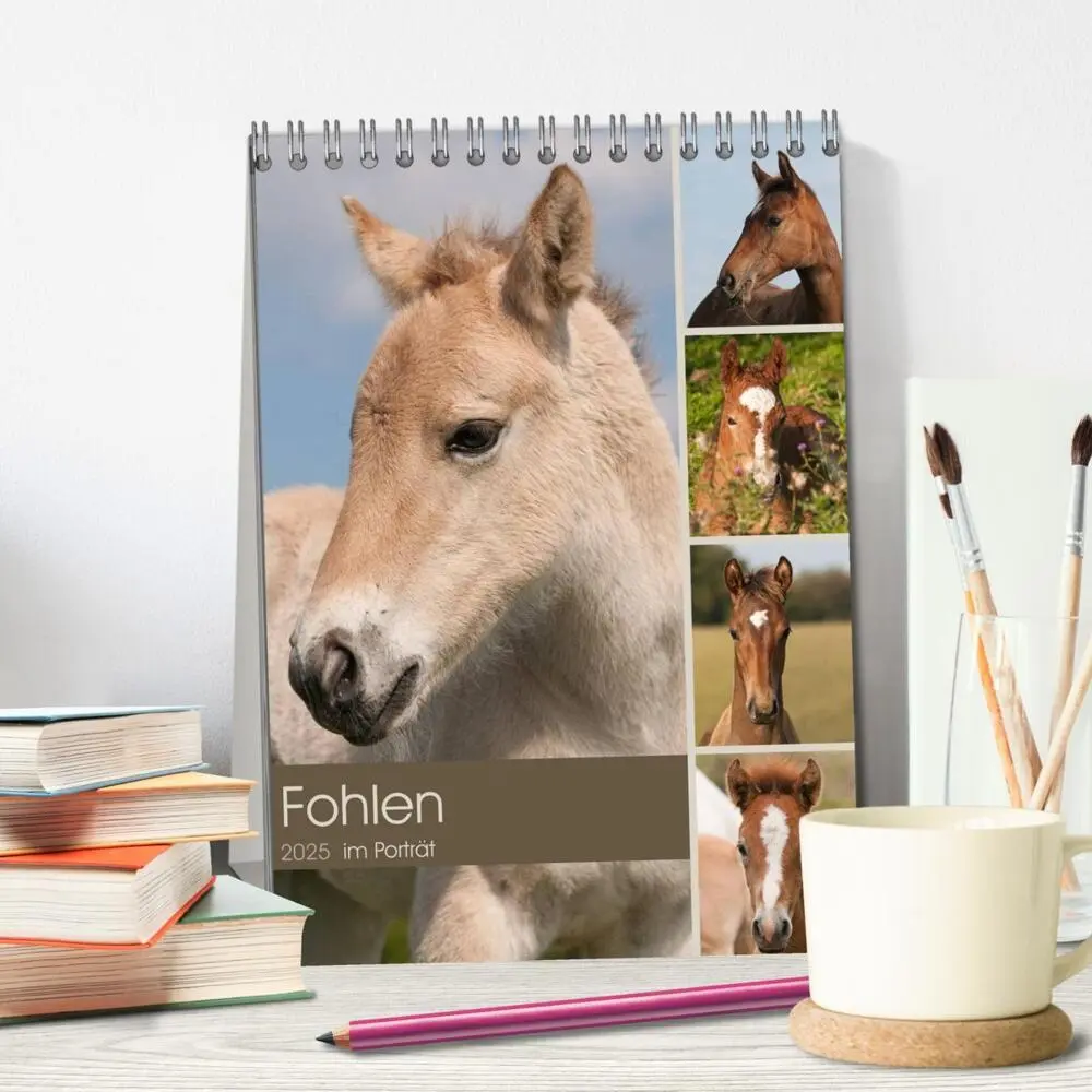 Bild: 9783457003138 | Fohlen im Porträt (Tischkalender 2025 DIN A5 hoch), CALVENDO...