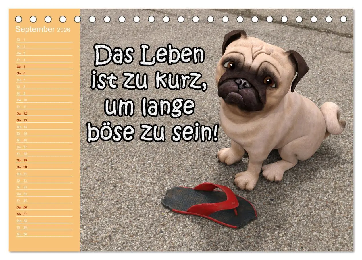 Bild: 9783457623138 | Tierische Toons (Tischkalender 2026 DIN A5 quer), CALVENDO...