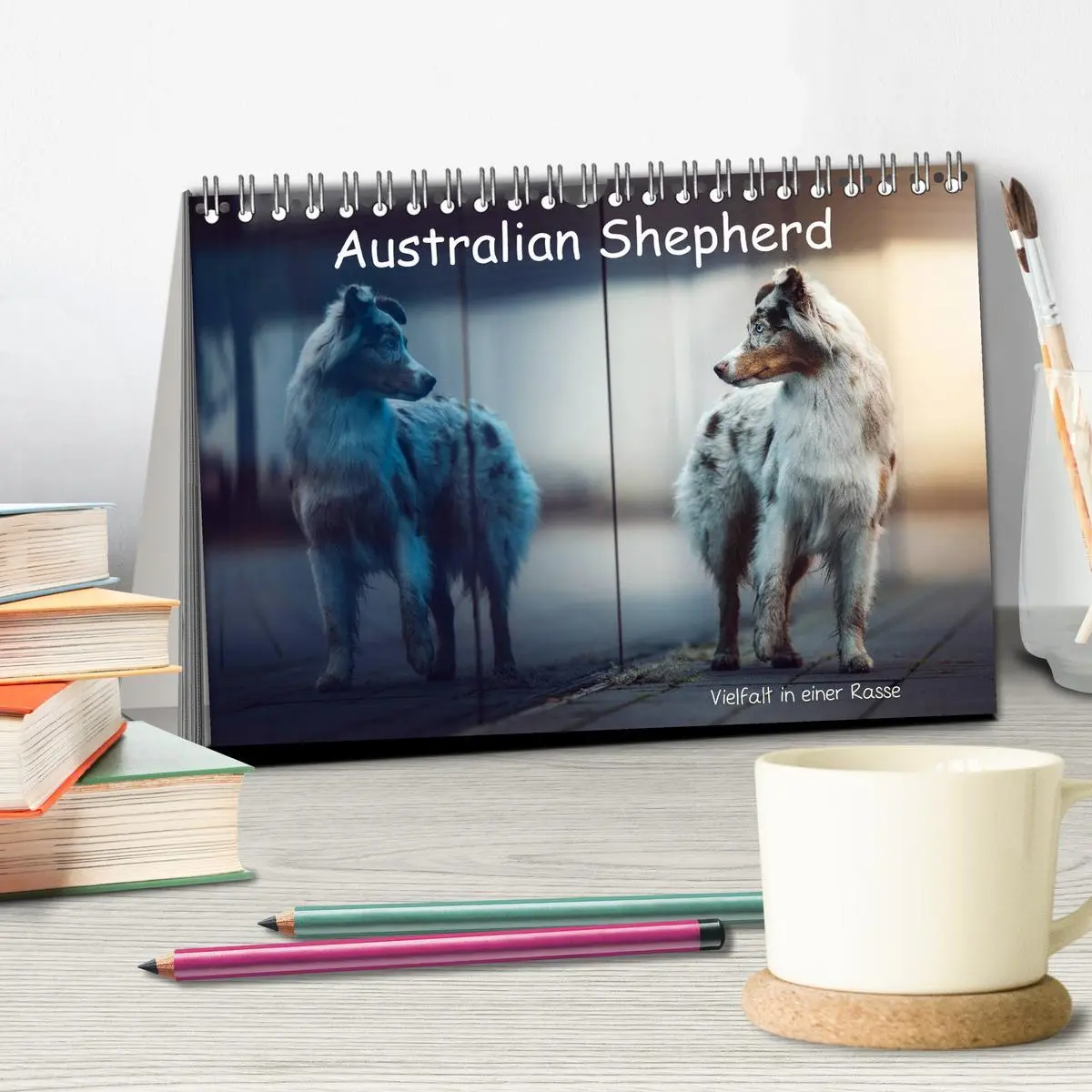 Bild: 9783457793138 | Australian Shepherd - Vielfalt in einer Rasse (Tischkalender 2026...