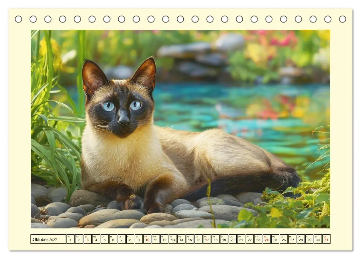 Bild: 9783516953138 | Edle Siamkatzen. Anmut und Charakter im Spiel mit der Natur...