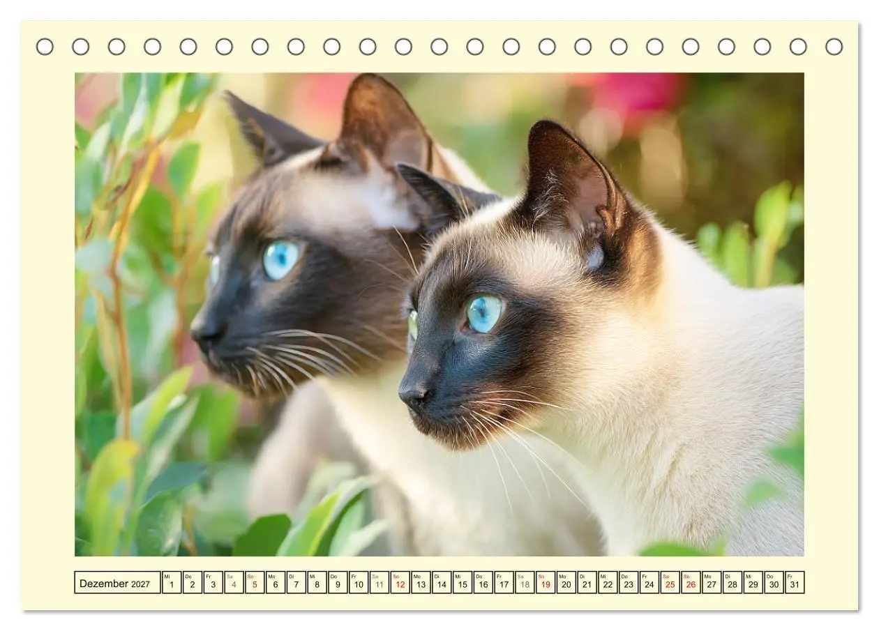 Bild: 9783516953138 | Edle Siamkatzen. Anmut und Charakter im Spiel mit der Natur...