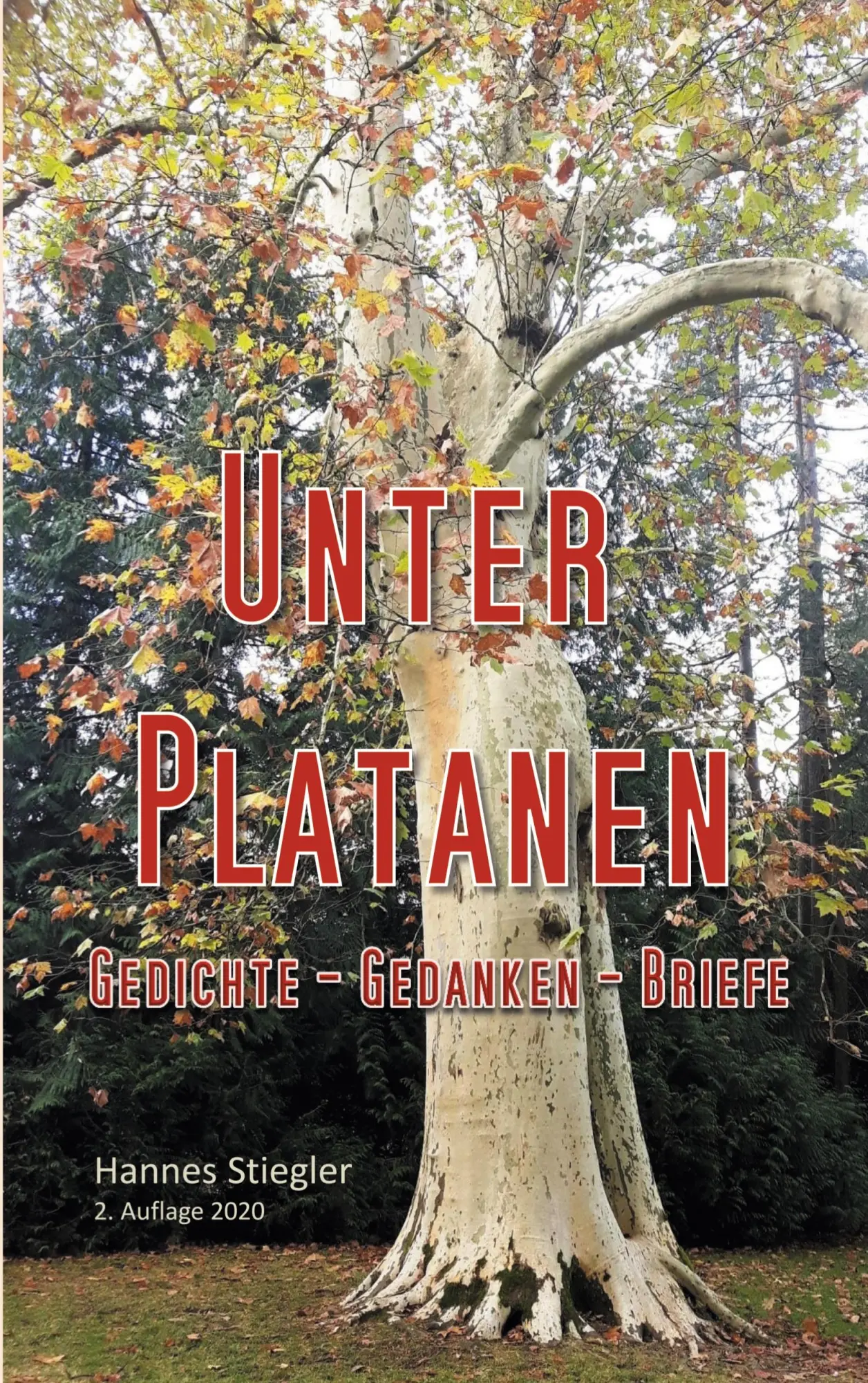 Cover: 9783751953238 | Unter Platanen | Hannes Stiegler | Taschenbuch | 128 S. | Deutsch