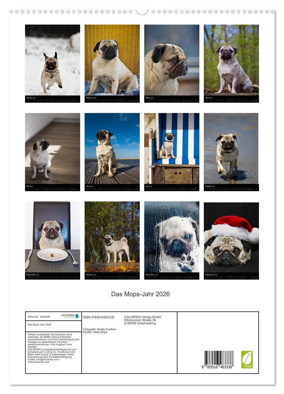 Bild: 9783516483338 | Das Mops-Jahr 2026 (hochwertiger Premium Wandkalender 2026 DIN A2...