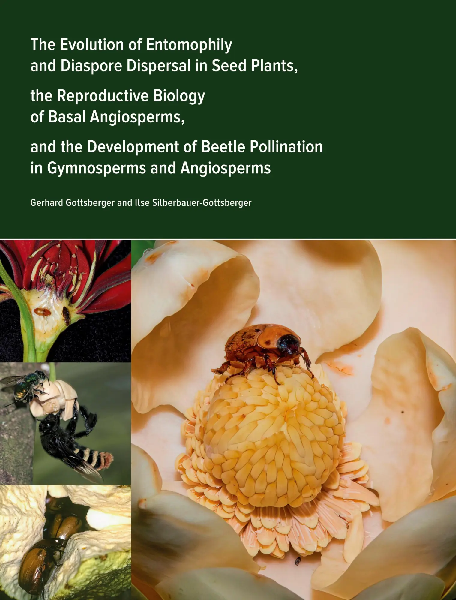 Cover: 9783384573438 | The Evolution of Entomophily and Diaspore Dispersal in Seed Plants,...