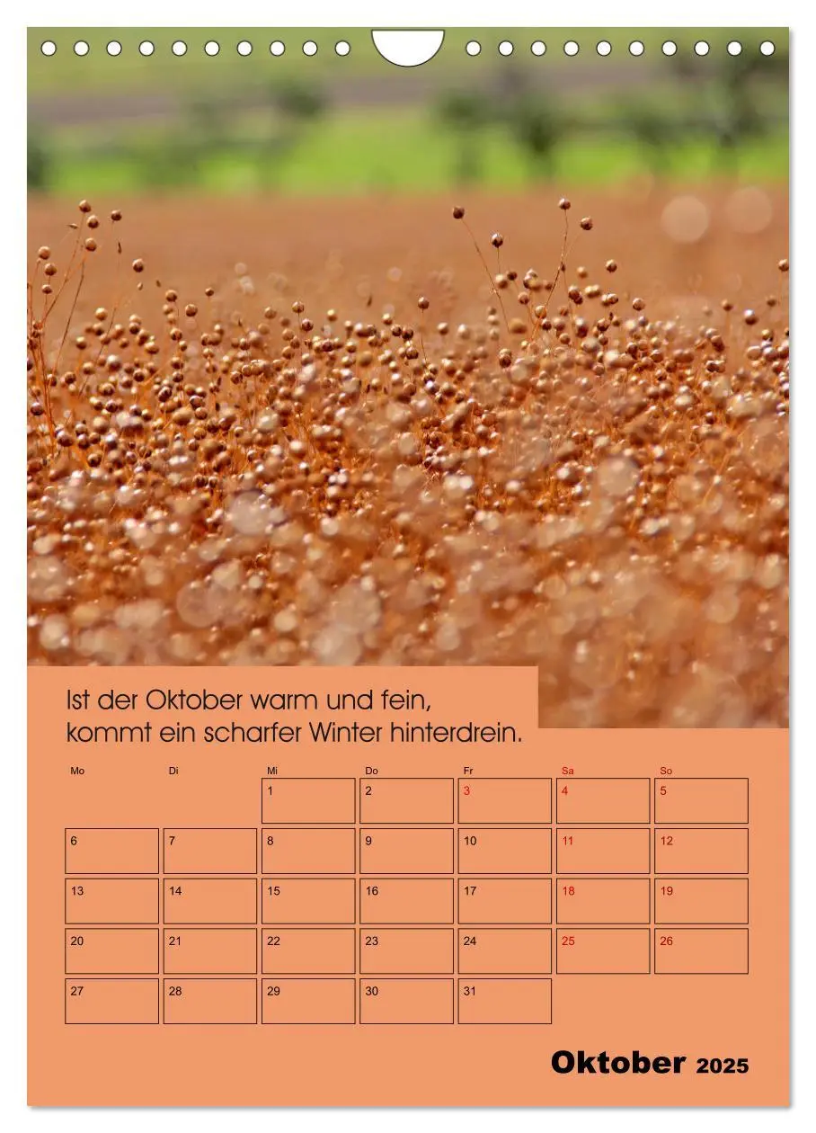 Bild: 9783435983438 | Wetter-Regeln der Bauern (Wandkalender 2025 DIN A4 hoch), CALVENDO...