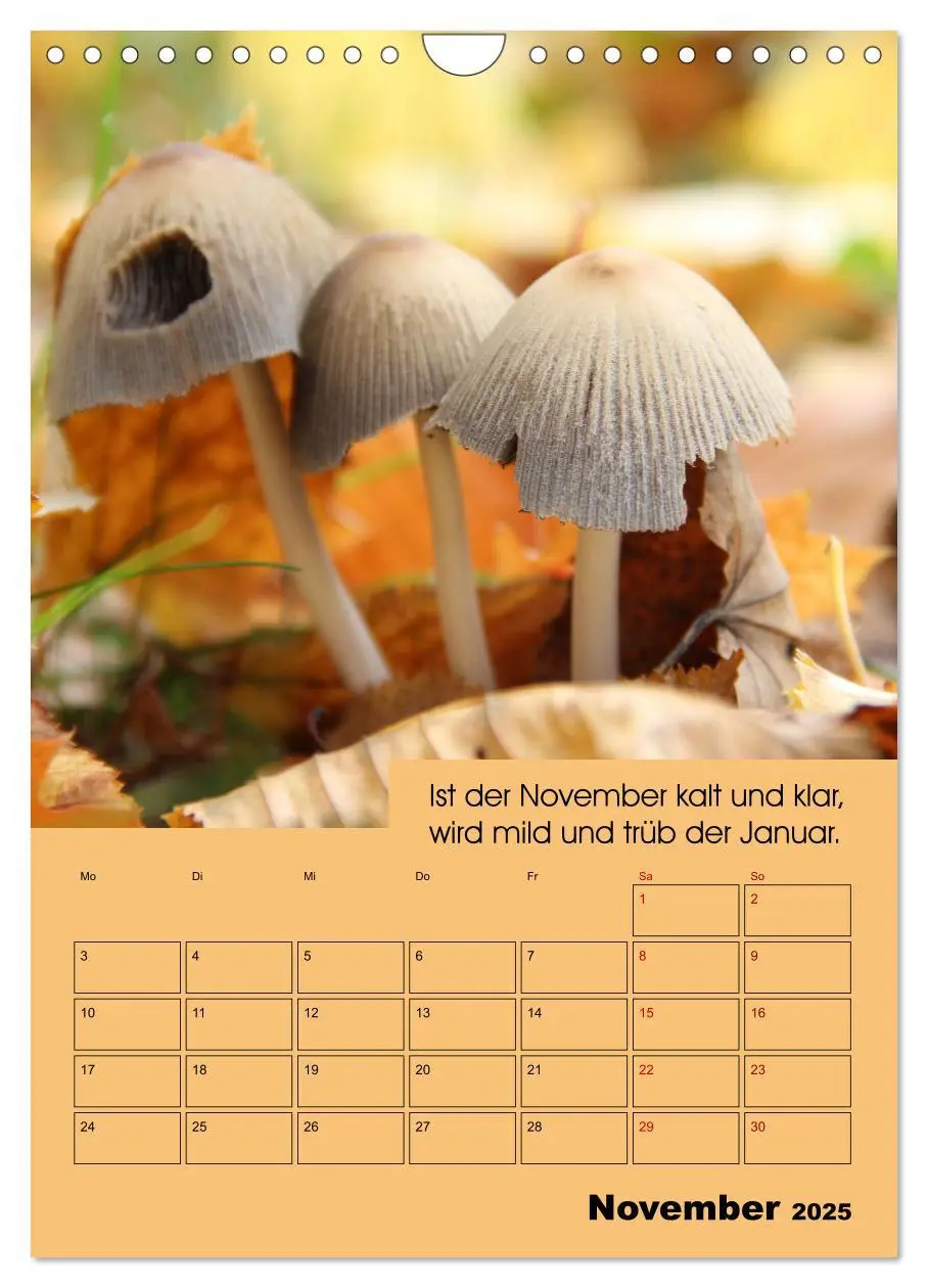 Bild: 9783435983438 | Wetter-Regeln der Bauern (Wandkalender 2025 DIN A4 hoch), CALVENDO...